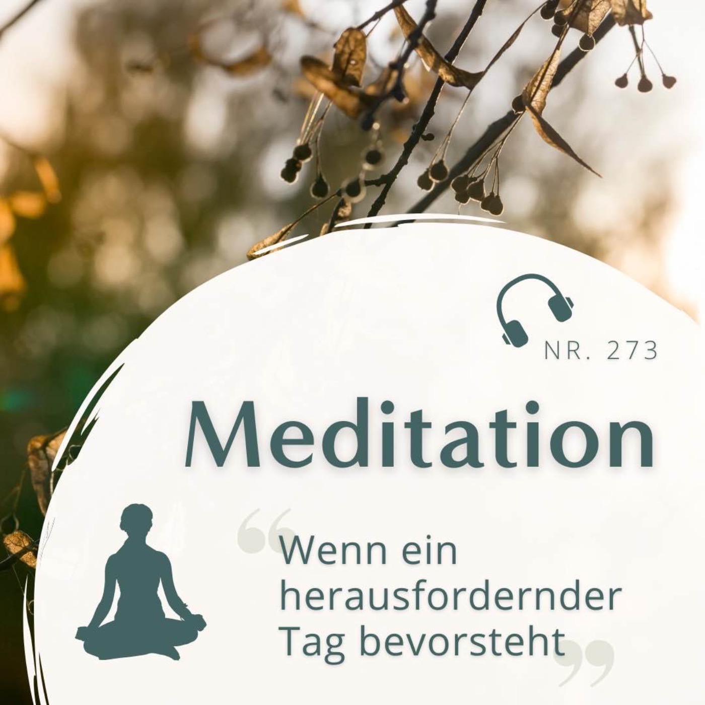 cover art for Meditation Nr. 273 // Wenn ein herausfordernder Tag bevorsteht