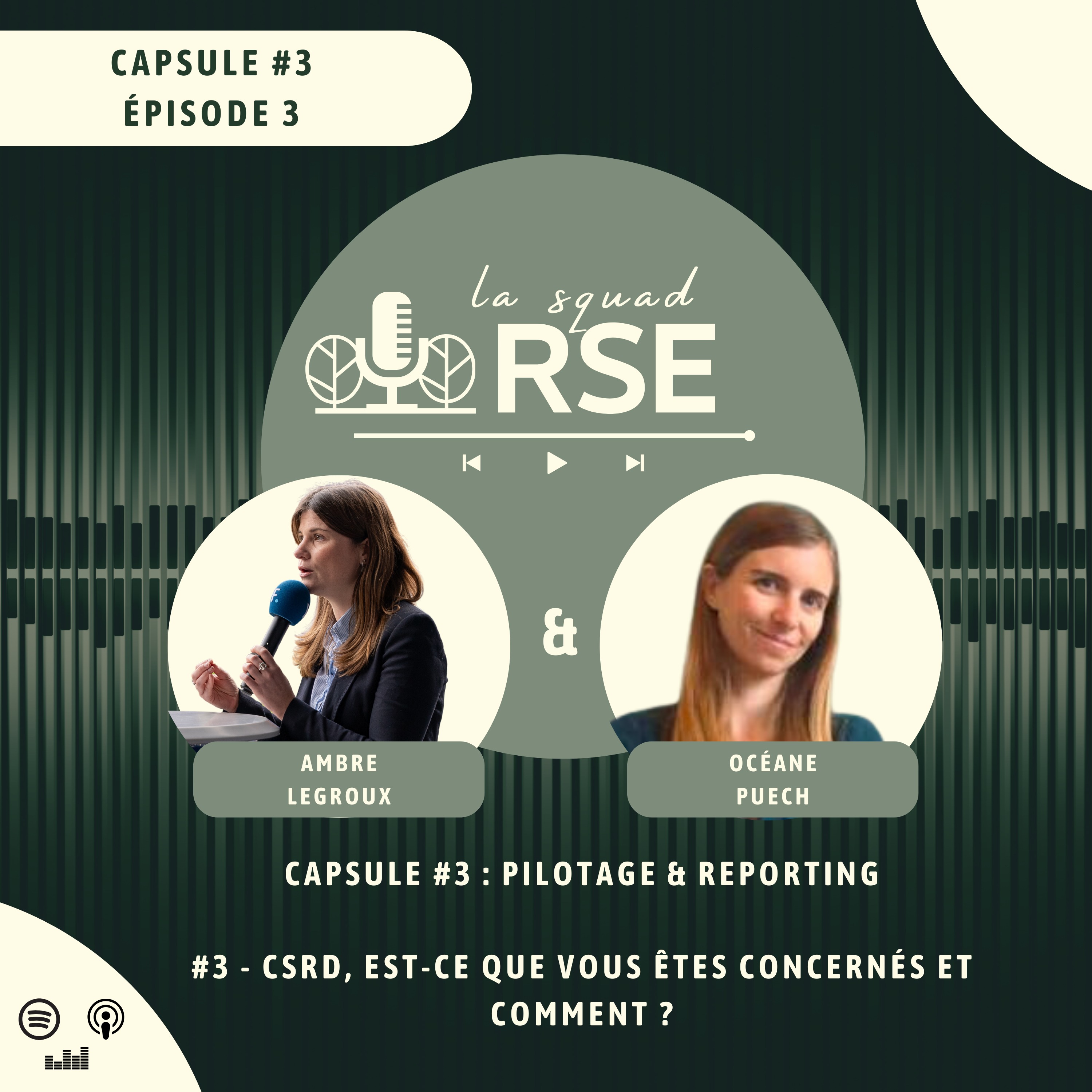 #3.3 - Pilotage & Reporting : CSRD, est-ce que vous êtes concernés et comment ?  episode artwork