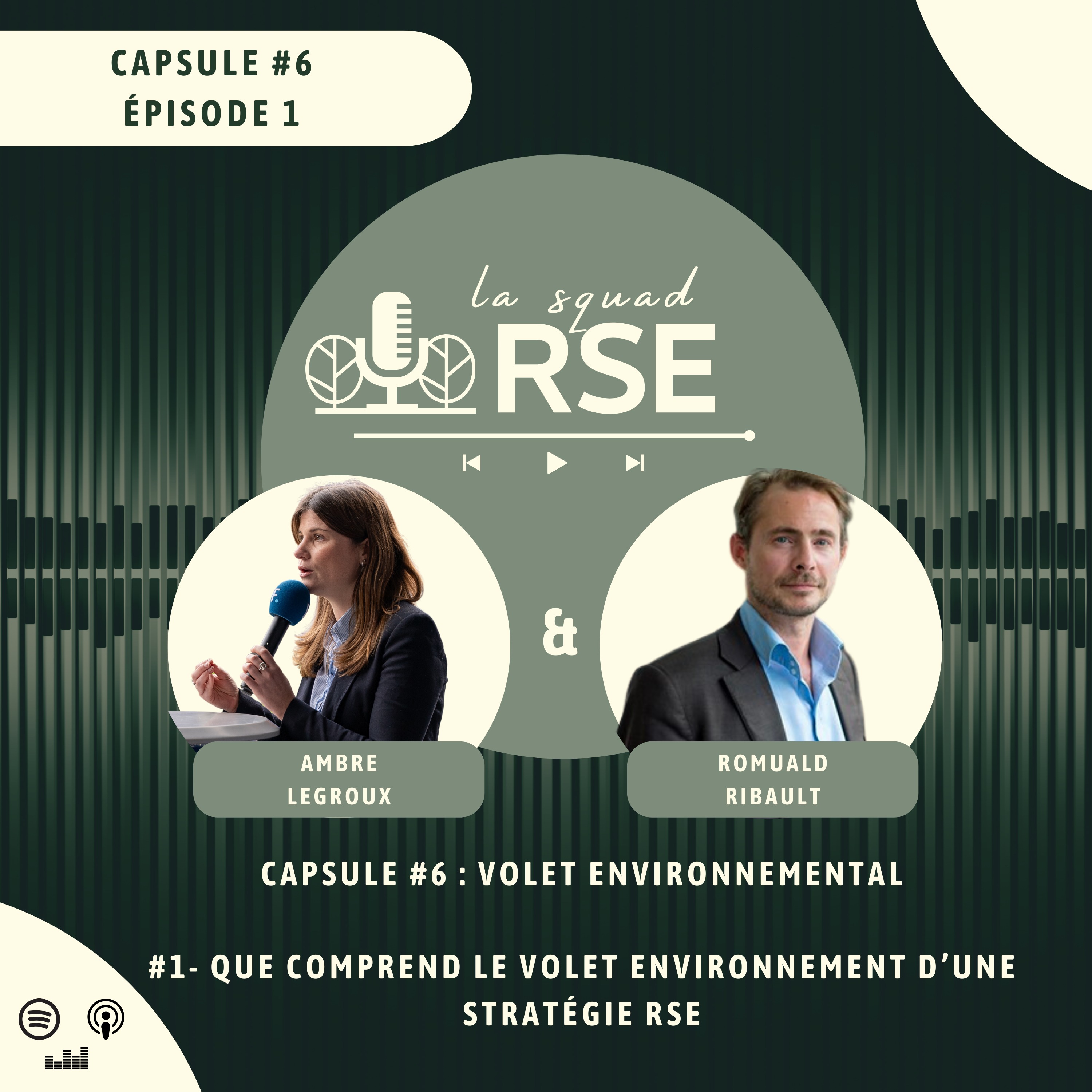 #6.1 - Volet environnemental : que comprend le volet environnemental d'une stratégie RSE ?