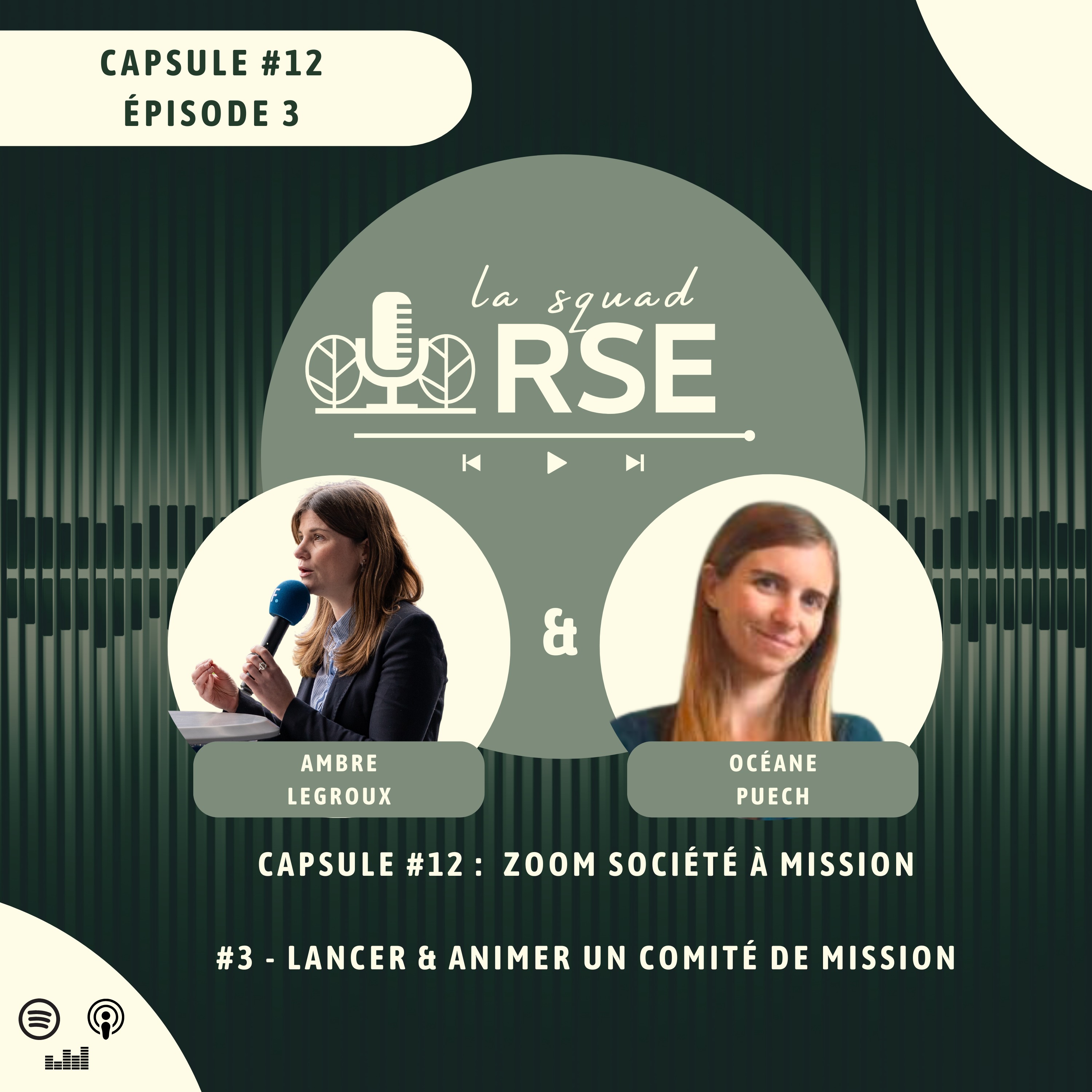 #12.3 - Société à mission : lancer et animer un comité de mission