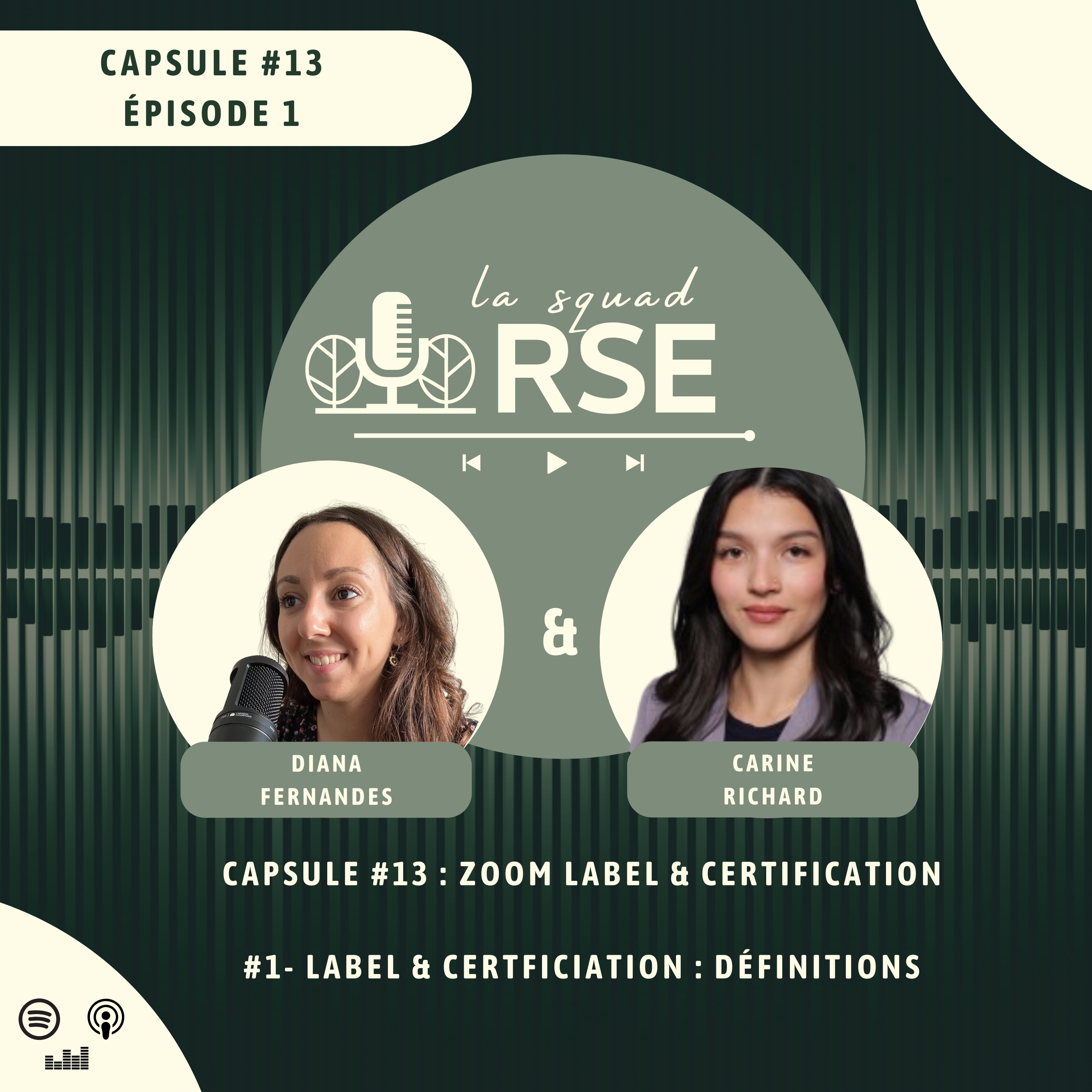 #13.1 - Zoom label & certification : définitions episode artwork