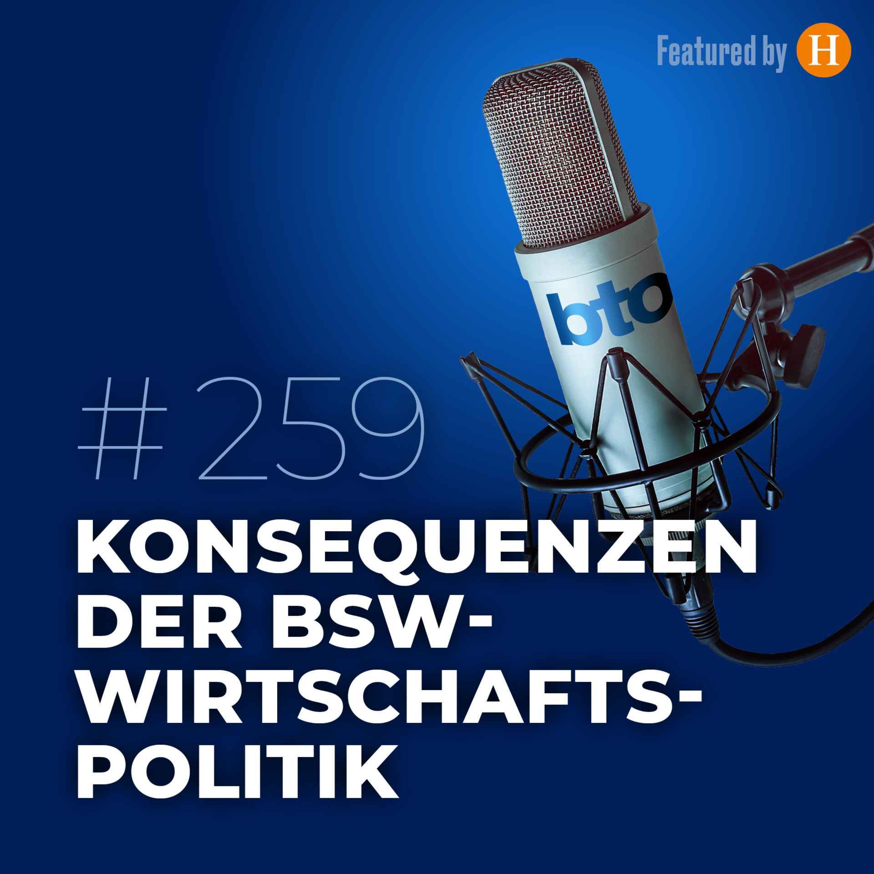 Konsequenzen der BSW-Wirtschaftspolitik