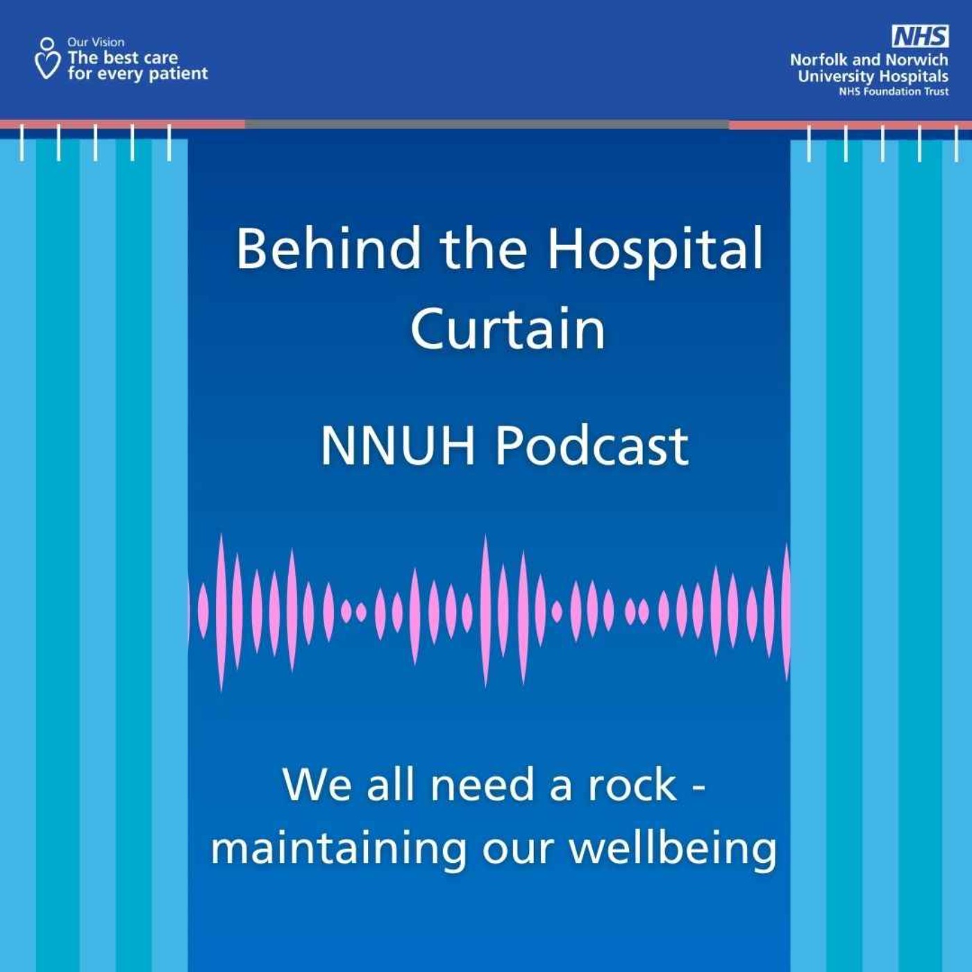 Behind the Hospital Curtain