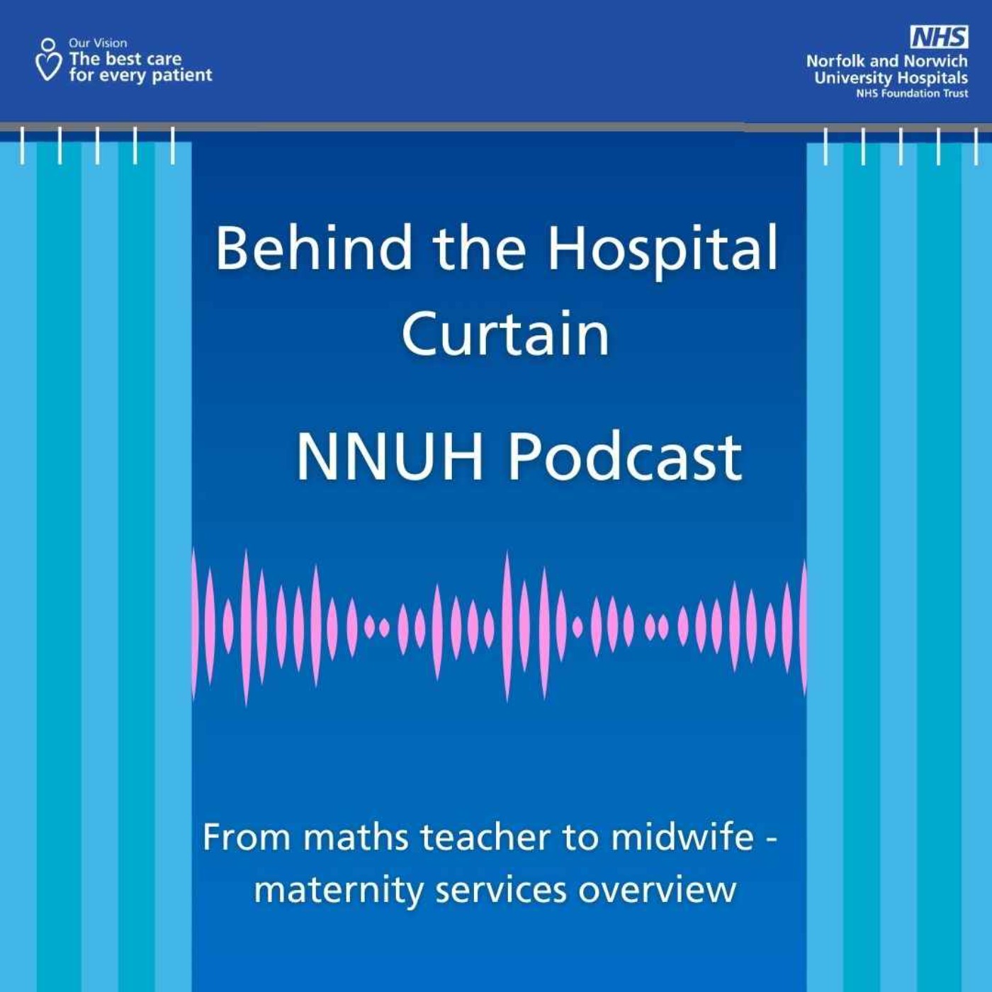 Behind the Hospital Curtain
