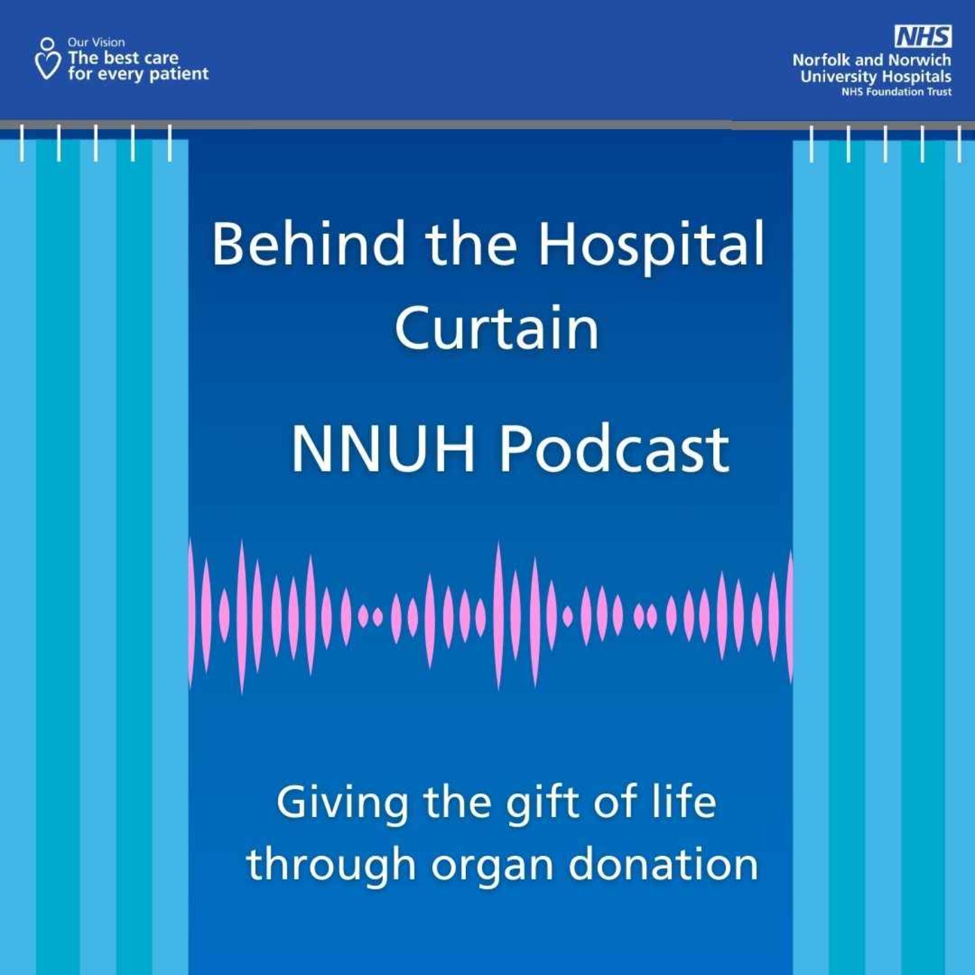 Behind the Hospital Curtain