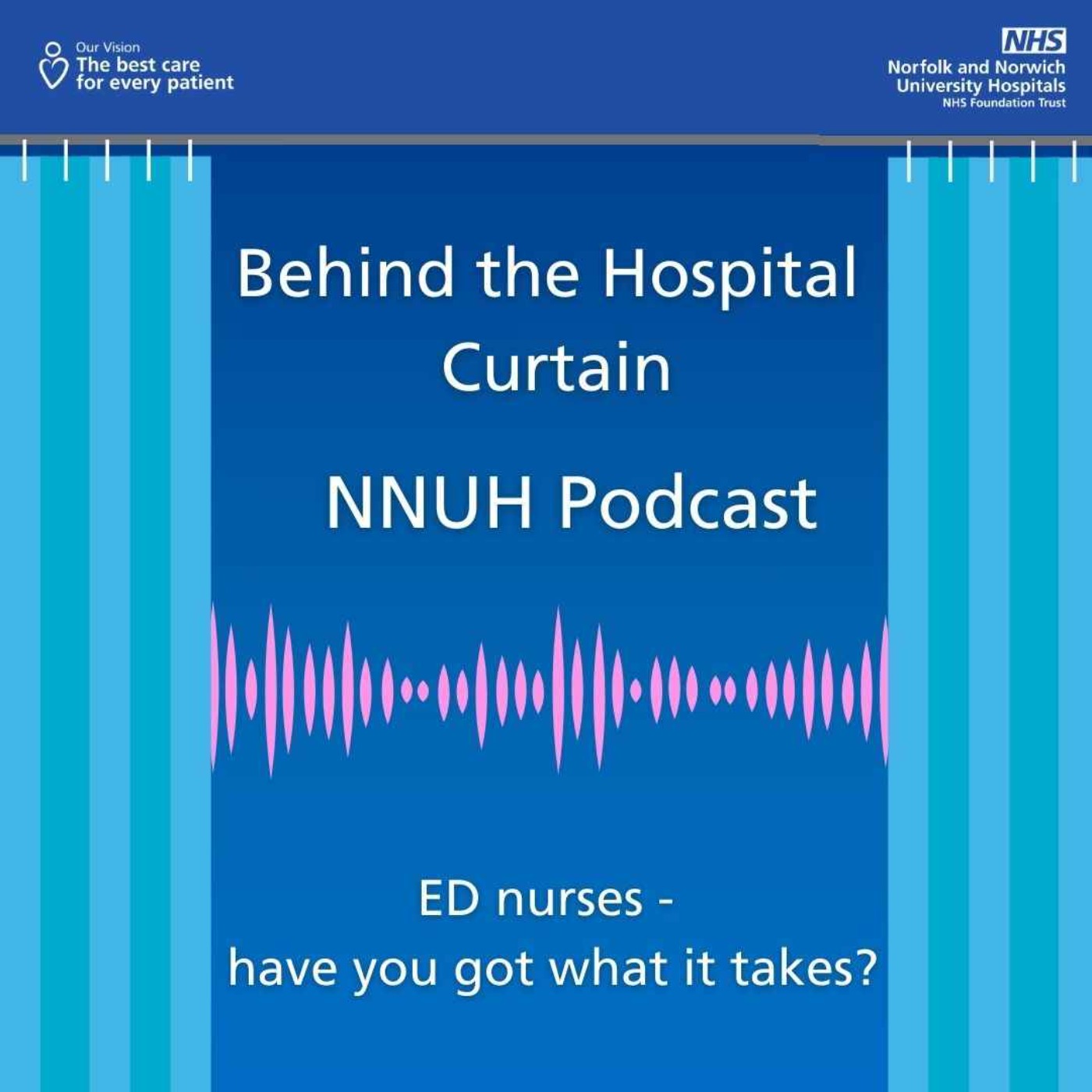 Behind the Hospital Curtain