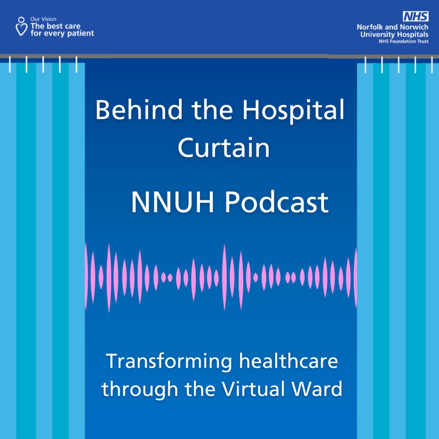 Behind the Hospital Curtain