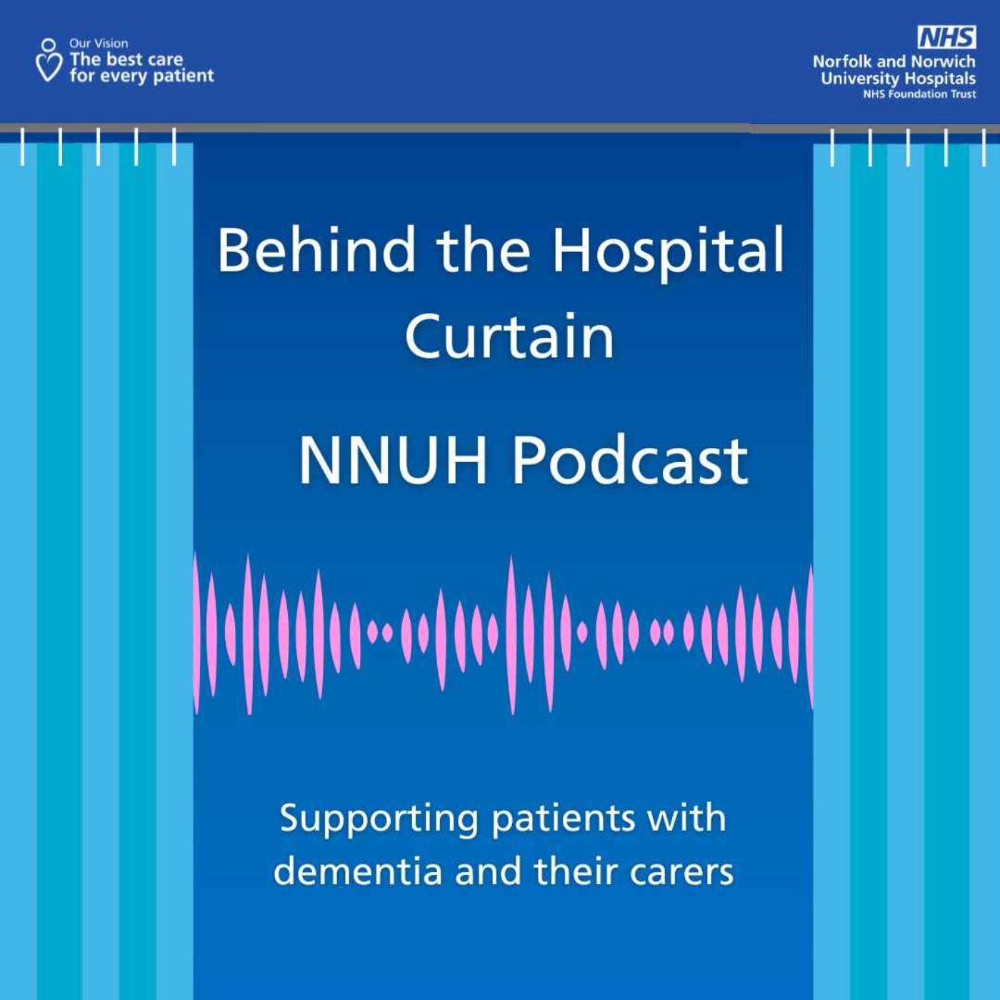 Behind the Hospital Curtain