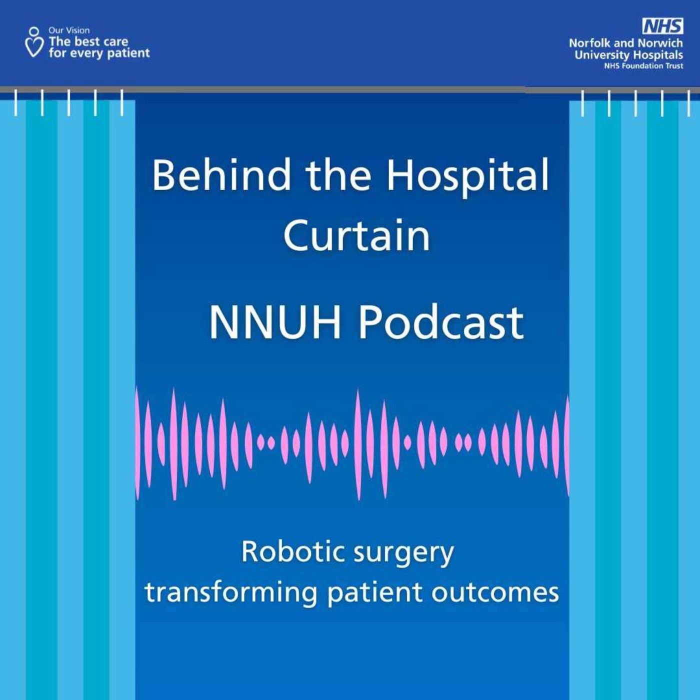 Behind the Hospital Curtain
