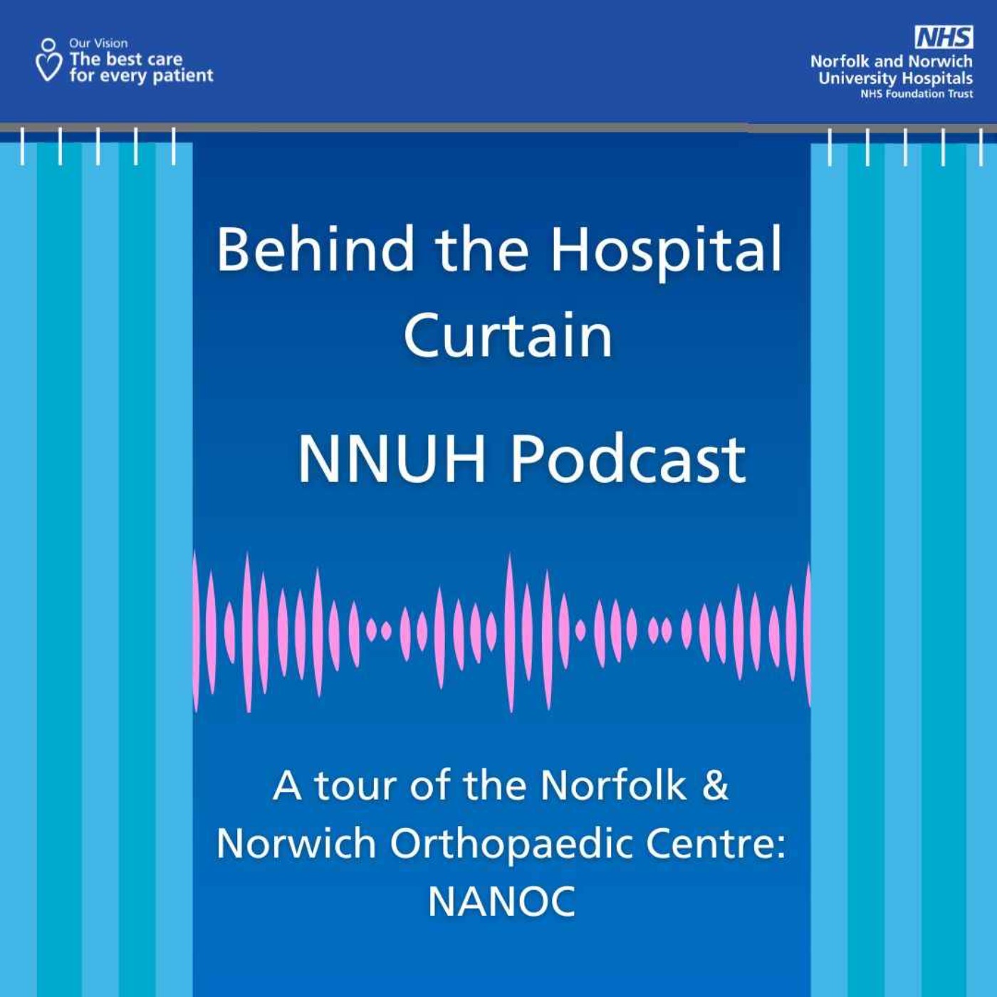Behind the Hospital Curtain