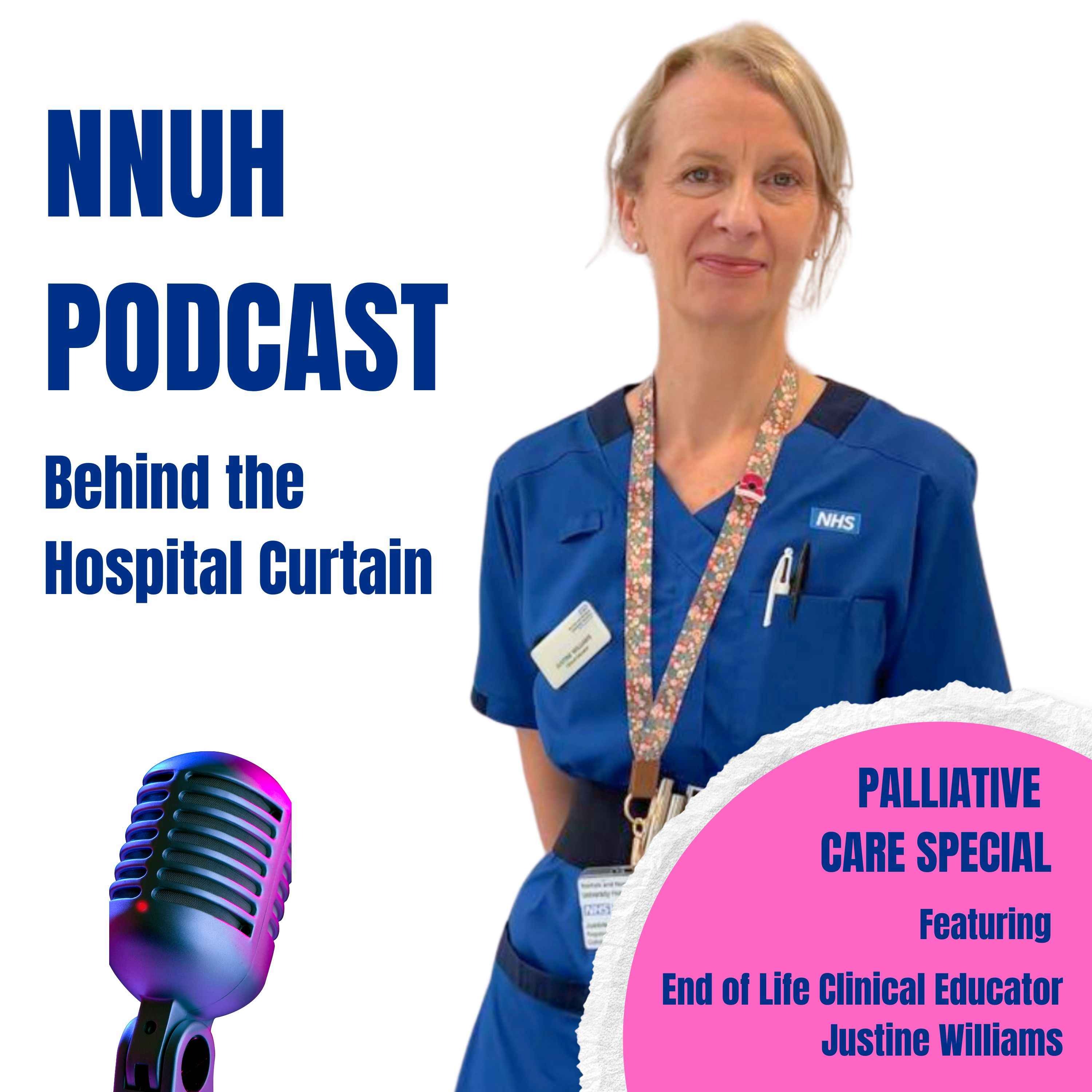 Behind the Hospital Curtain