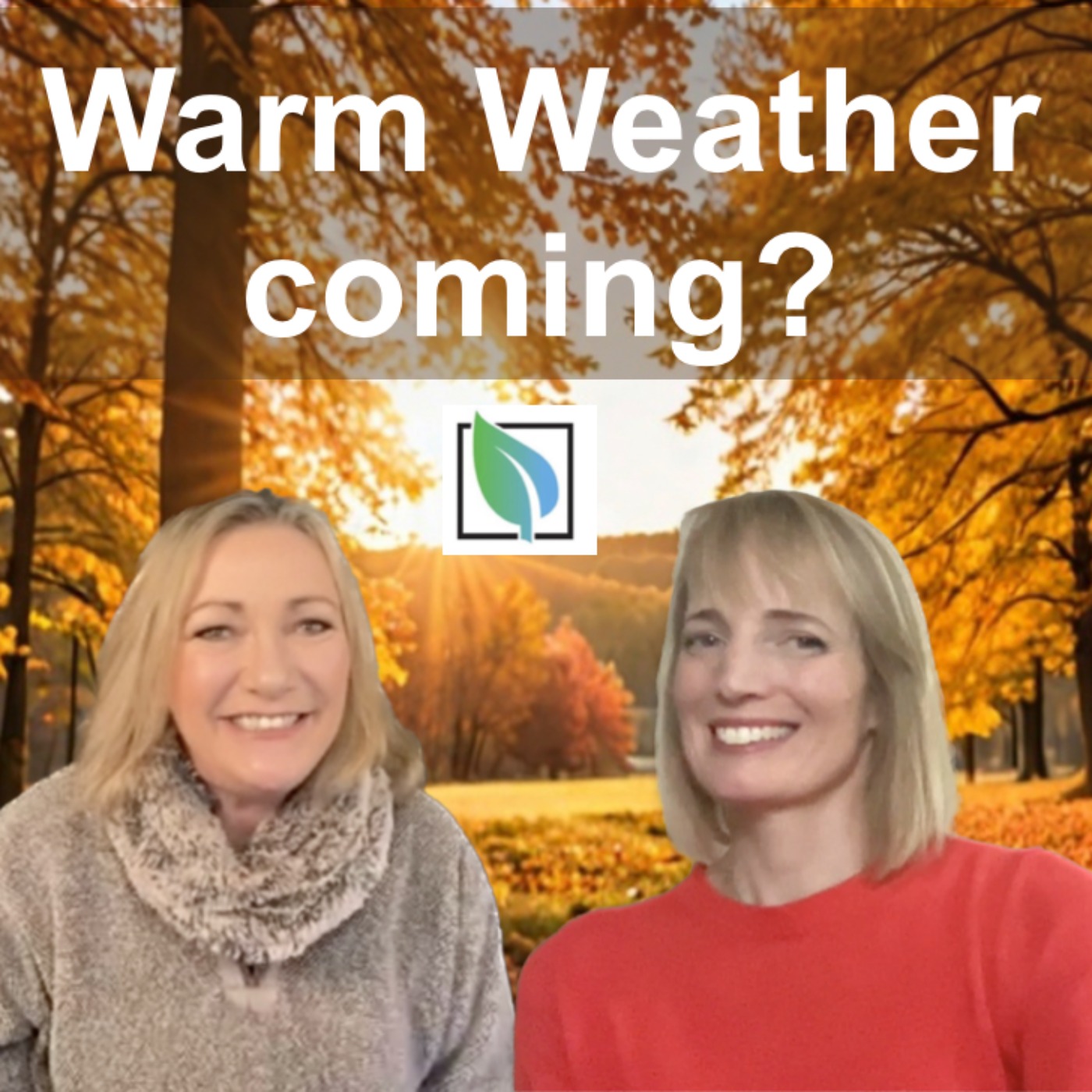 Are you ready for an Indian Summer? episode artwork