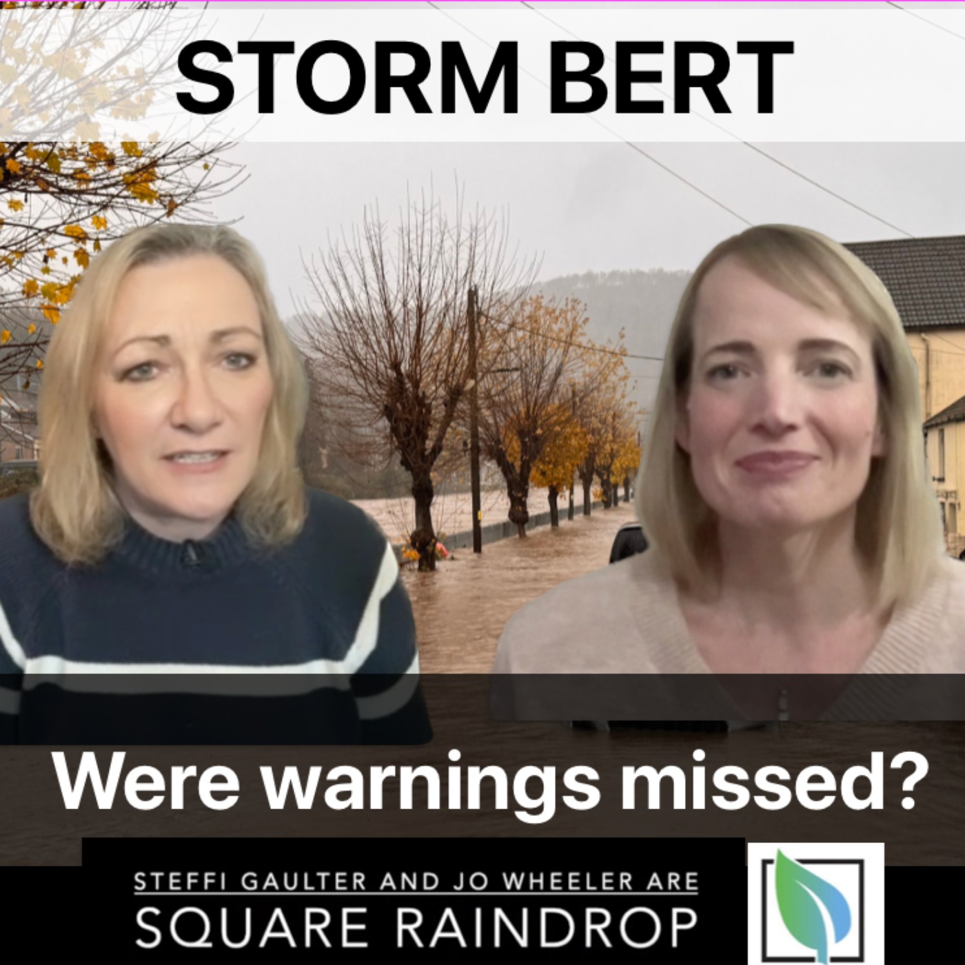 Storm Bert: Where were the warnings? episode artwork