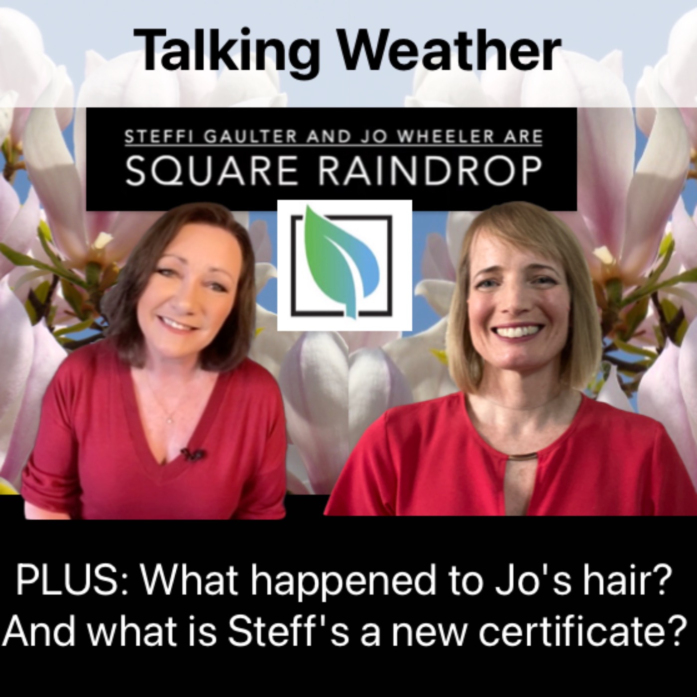 Weather, Duolingo and the SSW episode artwork
