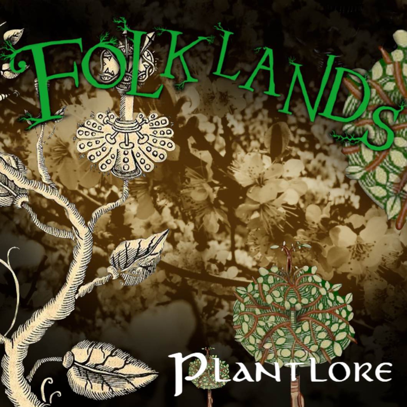cover art for PlantLore