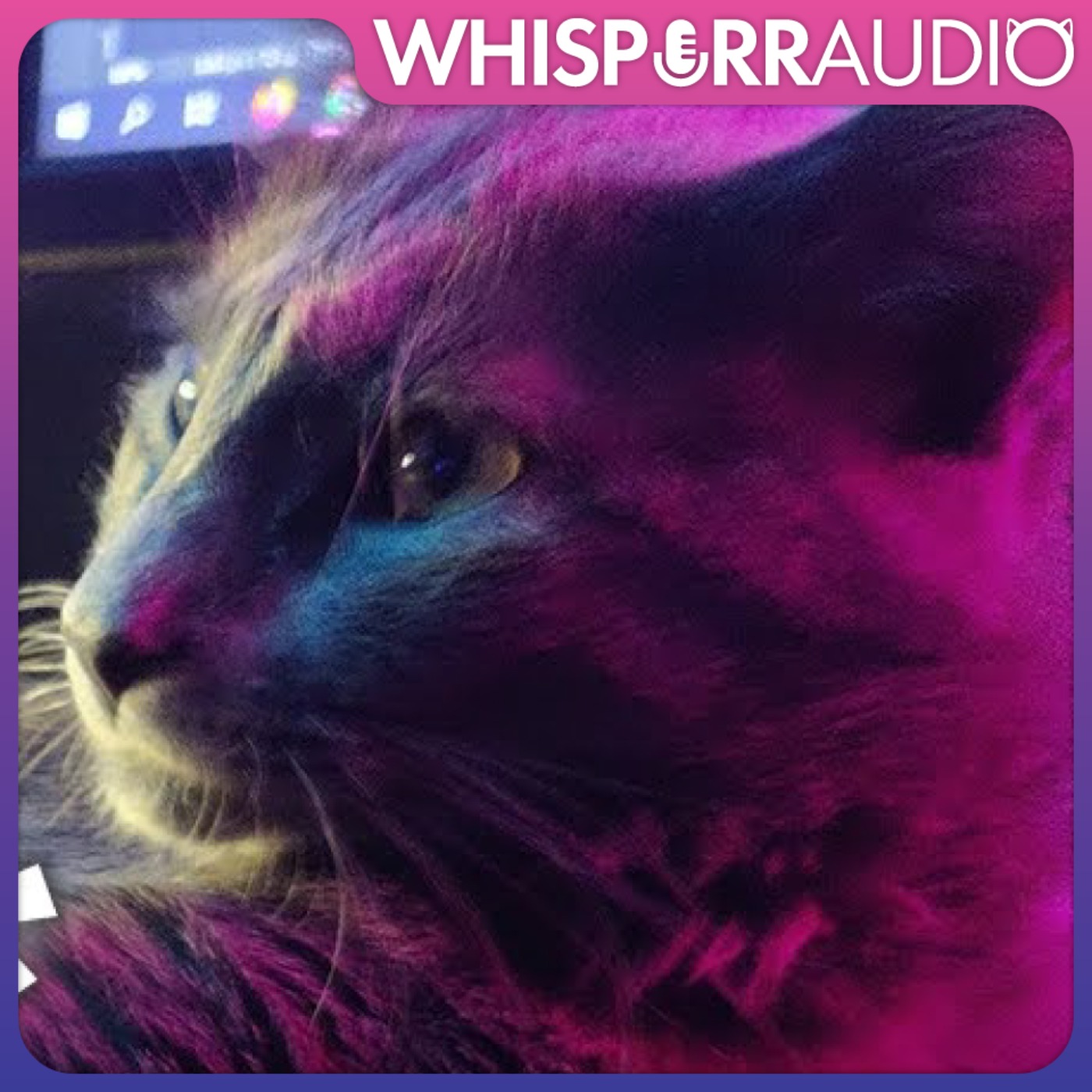 Brushing My Cat, Lenny 🐱 [ASMR] [Out of Character] [Meow] [Weekend Wildcard] episode artwork