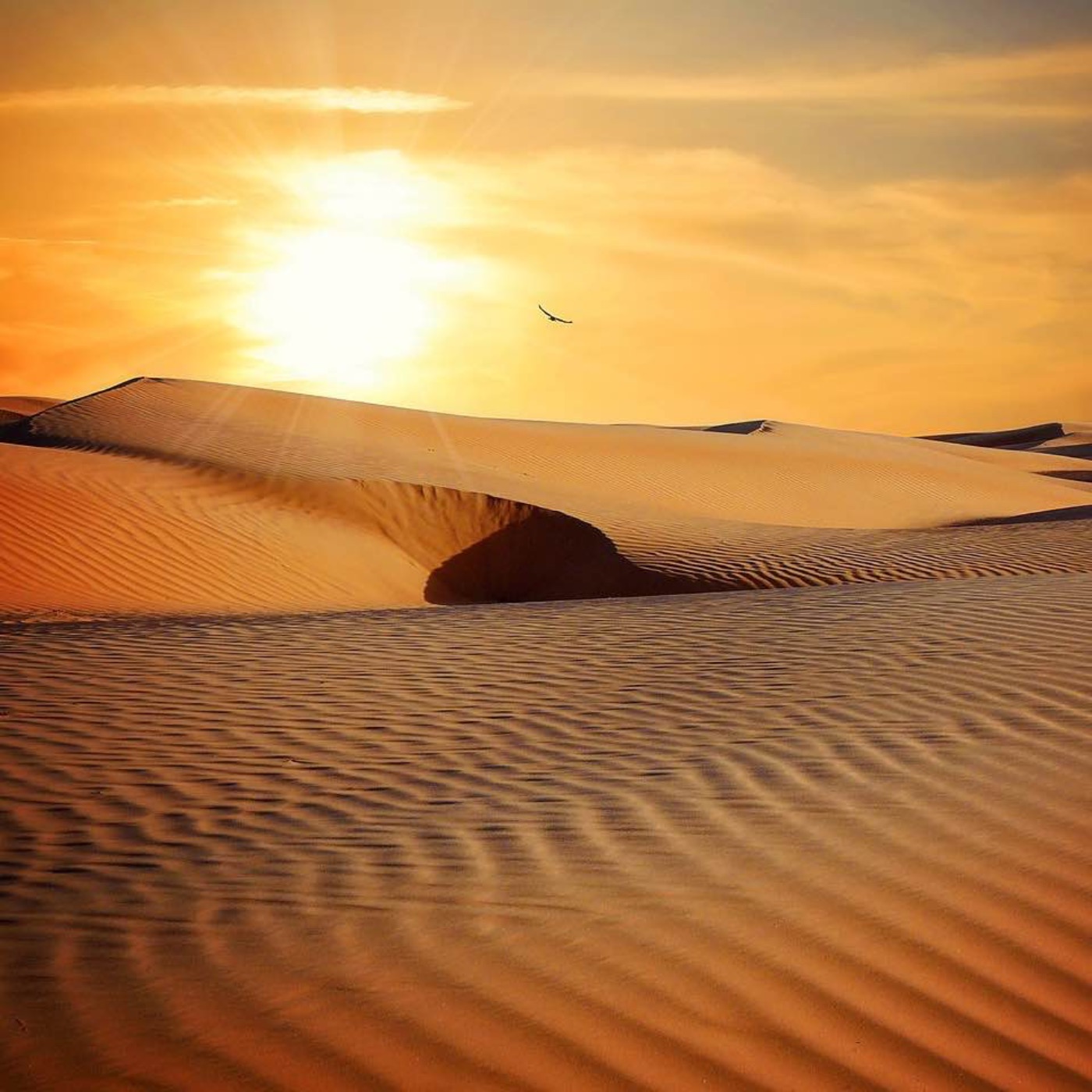 cover art for "desert oasis melodies" - tranquil desert sands and bilateral serene music for sleeping and relaxation