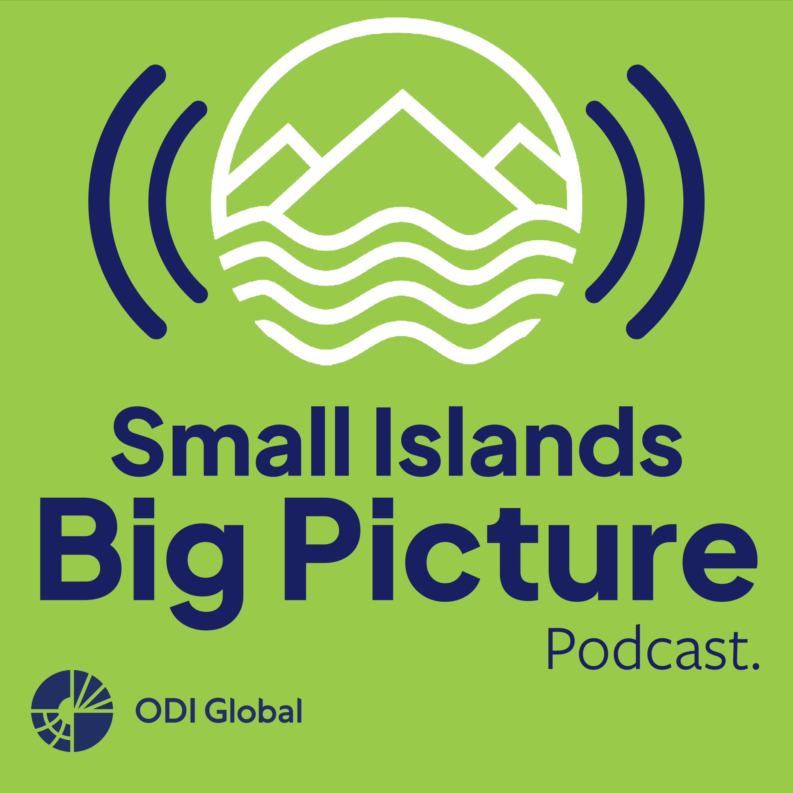 Small Islands Big Picture
