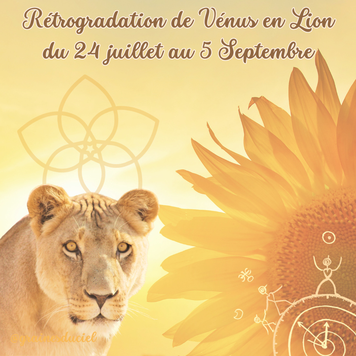 Vénus Rétrograde en Lion tout l'été  episode artwork
