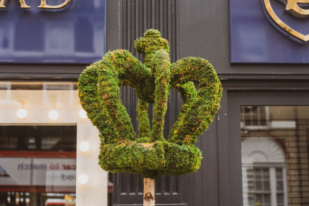 The RHS Chelsea Flower Show