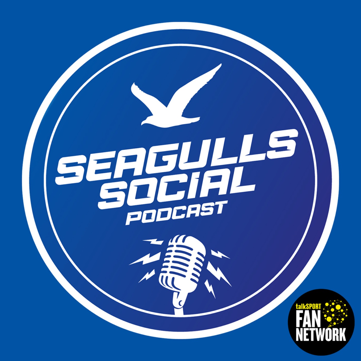 cover art for Brighton Boy Levi Colwill Wins The Euros | SEAGULLS SOCIAL - S3 - EP.48
