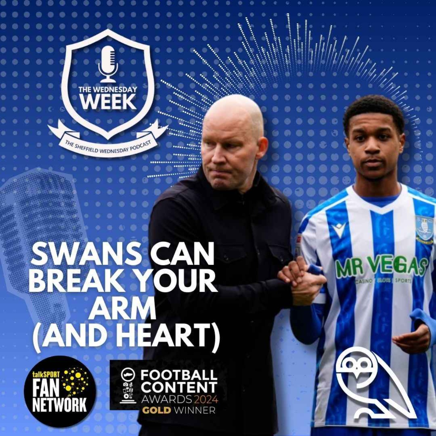 Swans can Break Your Arm (and heart)