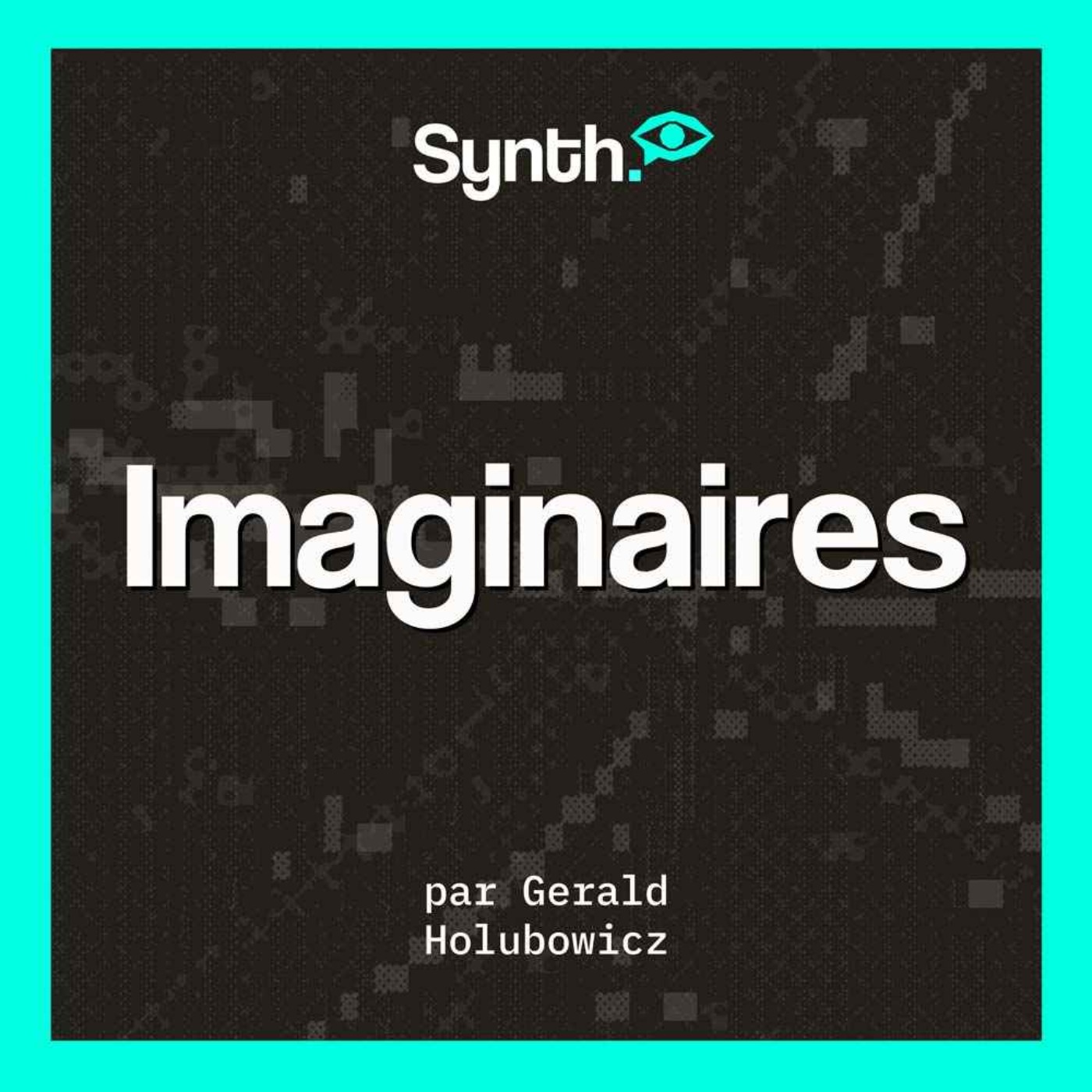 IMAGINAIRES, par Gerald Holubowicz