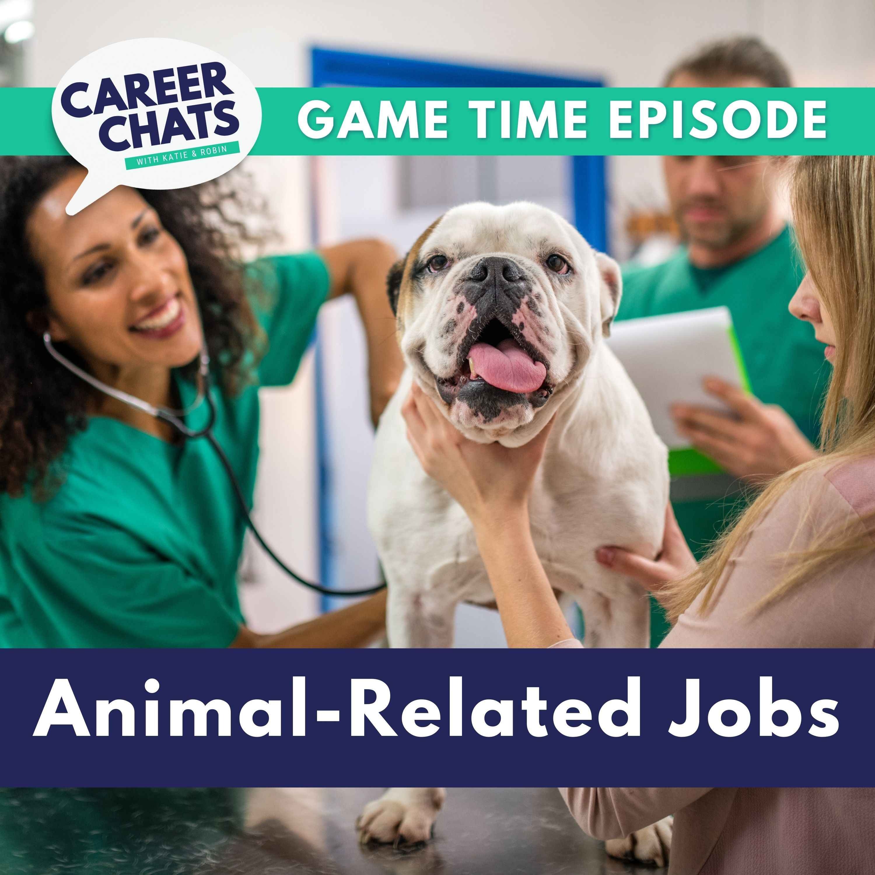 Career Chats with Katie and Robin