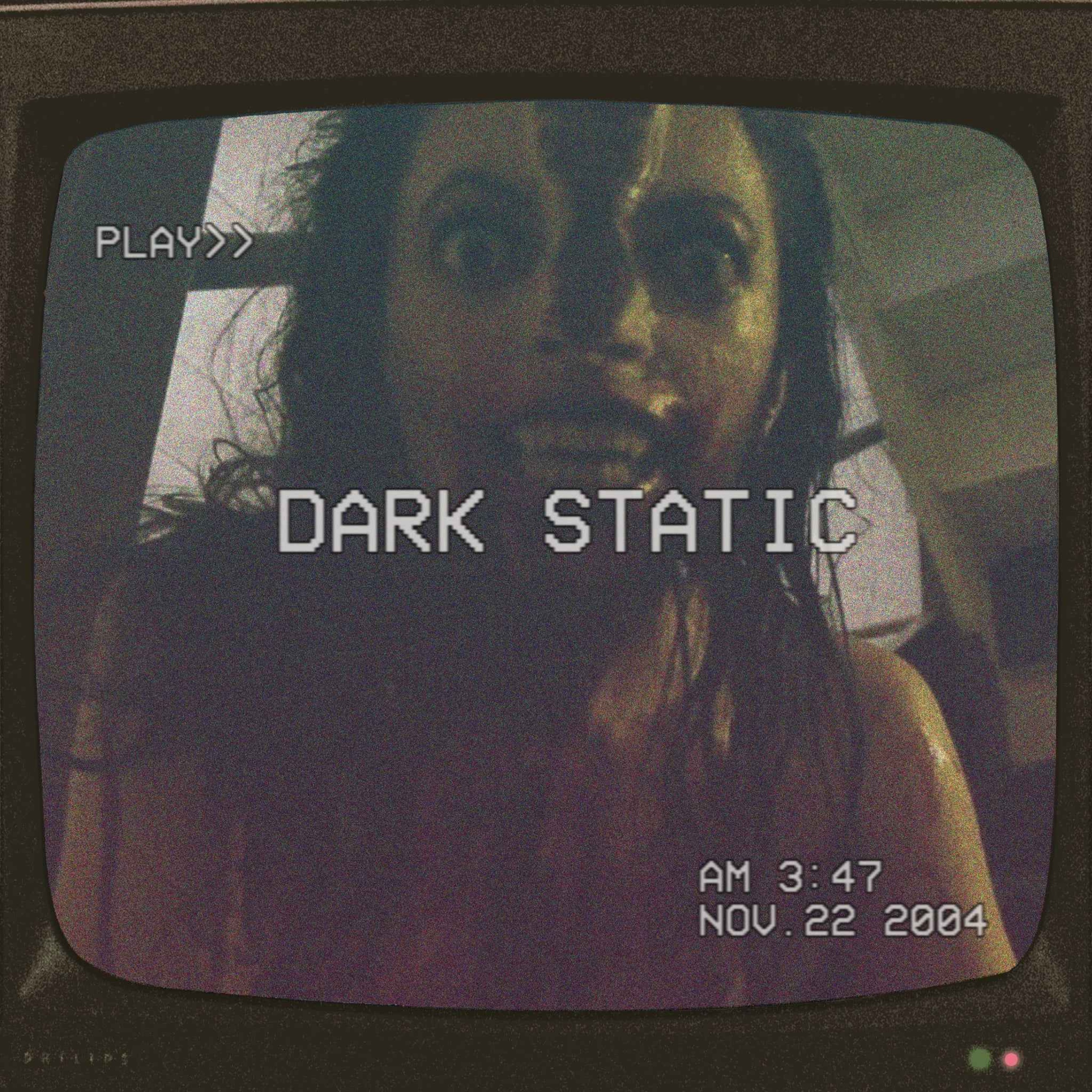 011 - V/H/S