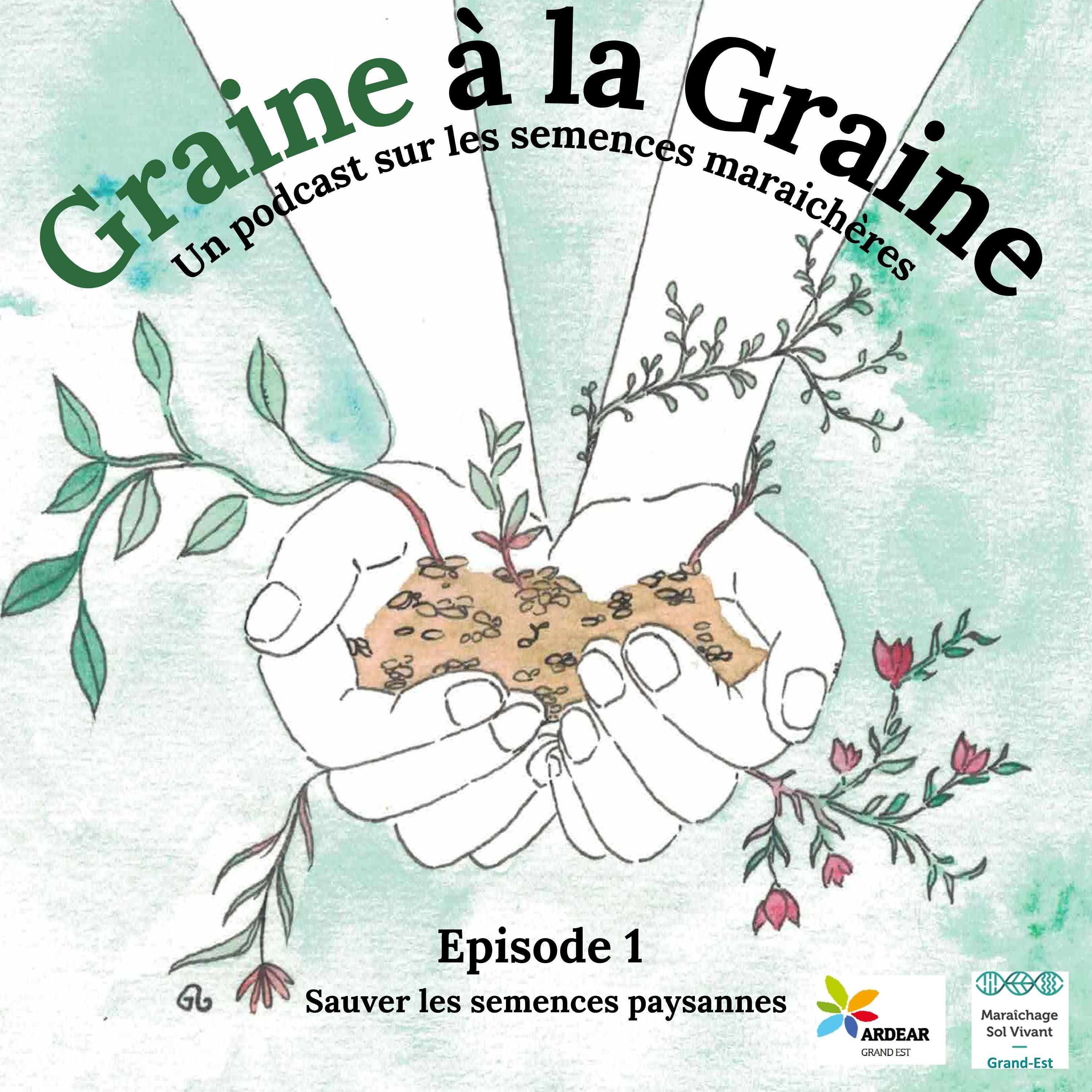 cover art for Sauver les semences paysannes 