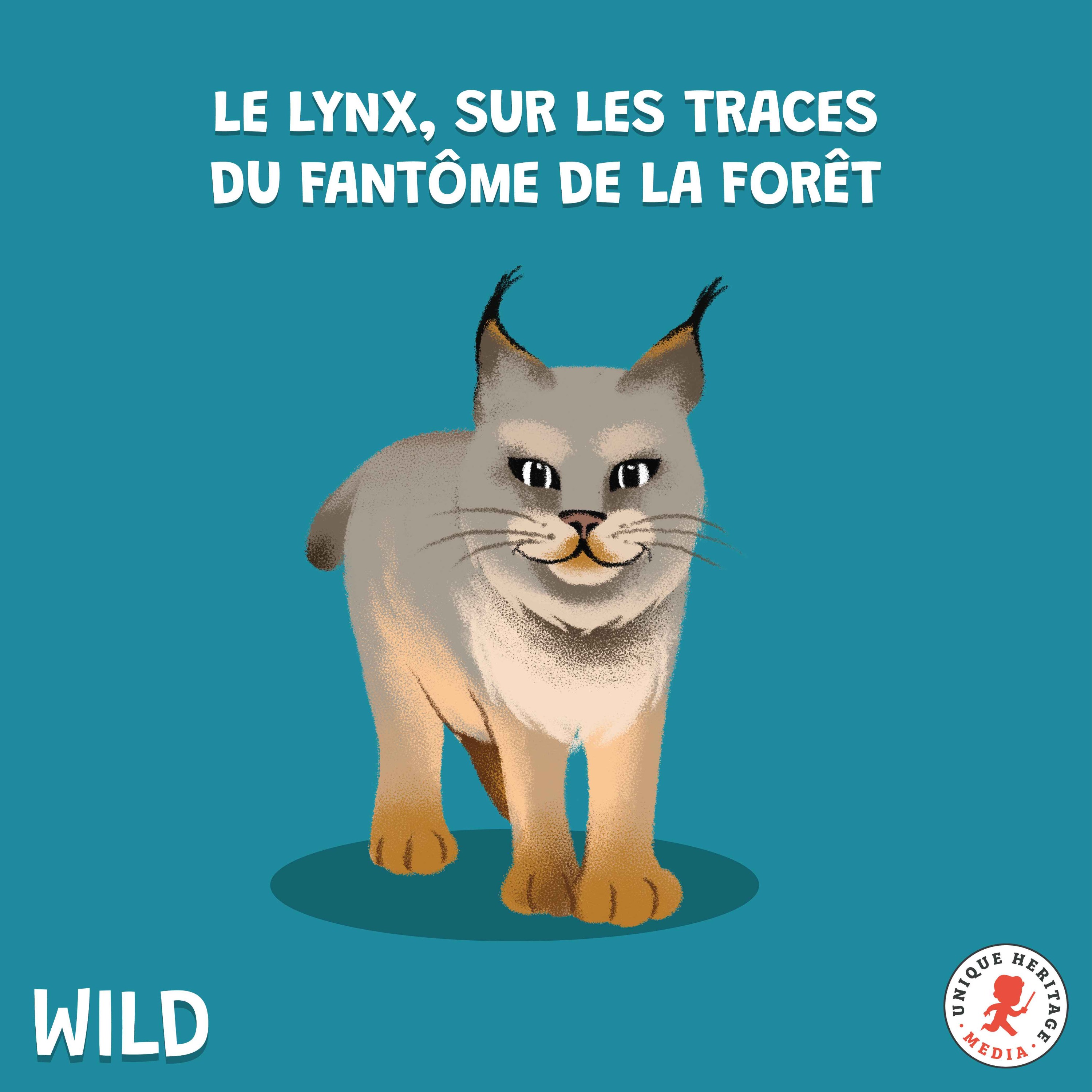 Le Lynx, sur les traces du fantôme de la forêt (Partie 2)