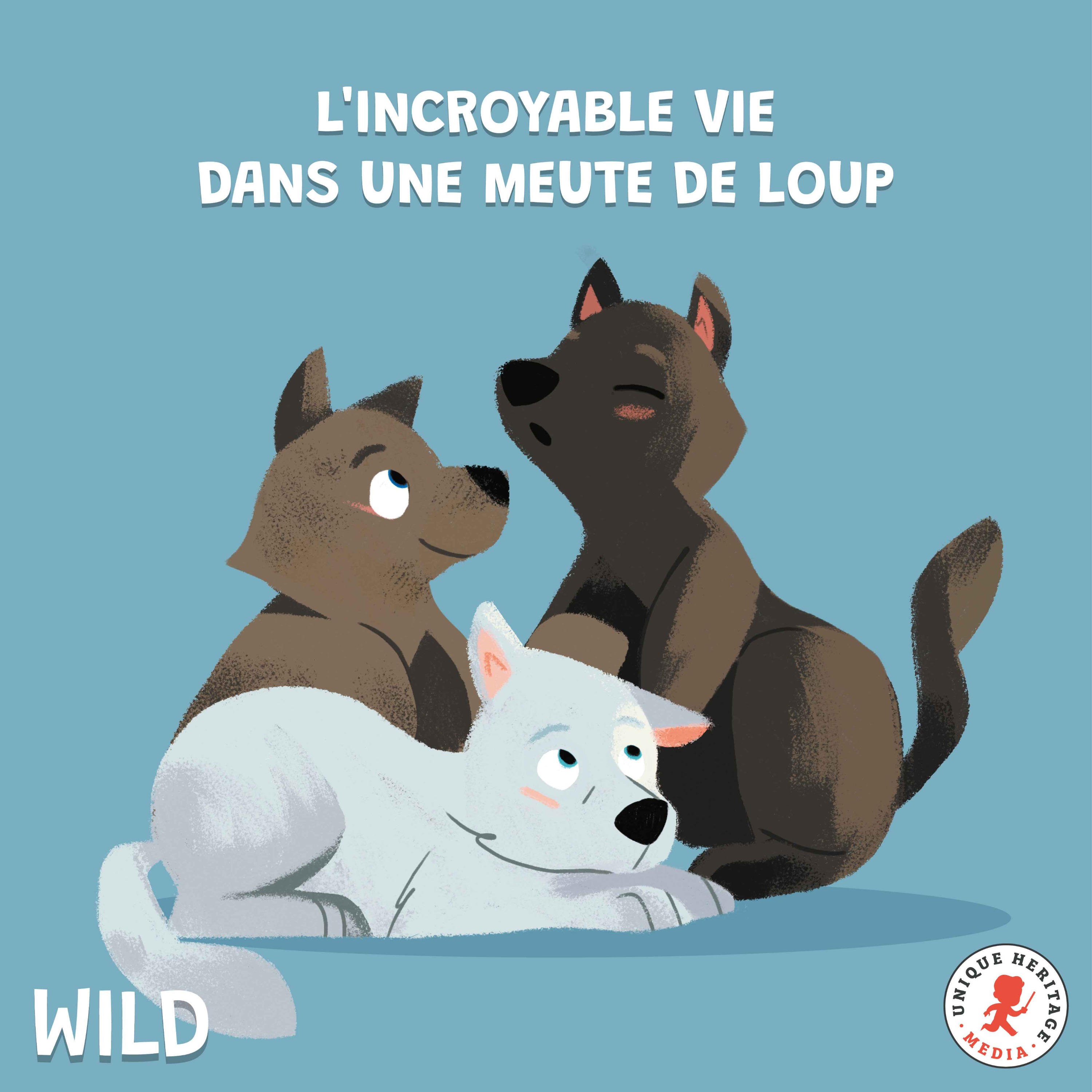 L'incroyable vie dans une meute de Loups (Partie 2)