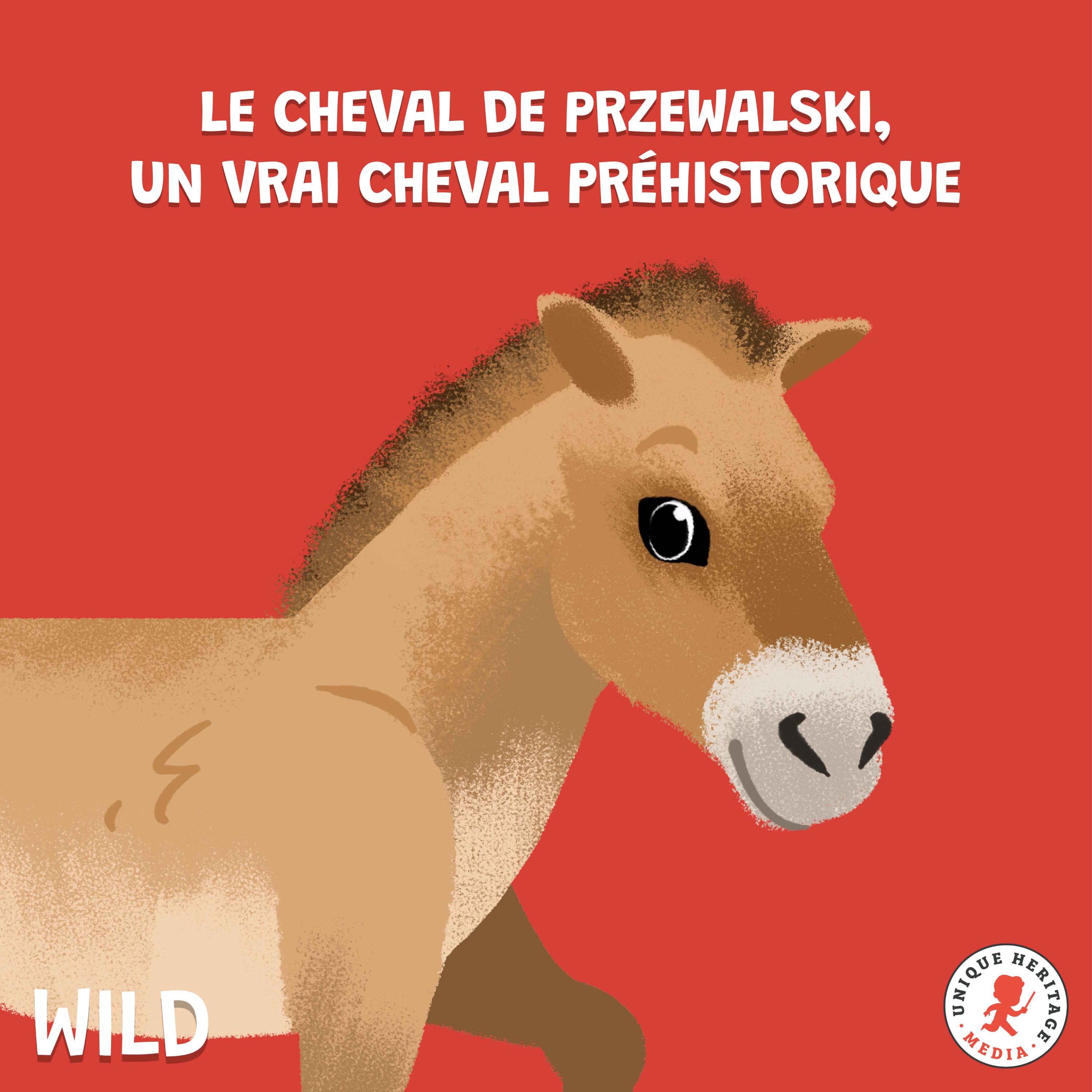 cover art for Le Cheval de Przewalski, un vrai cheval préhistorique !
