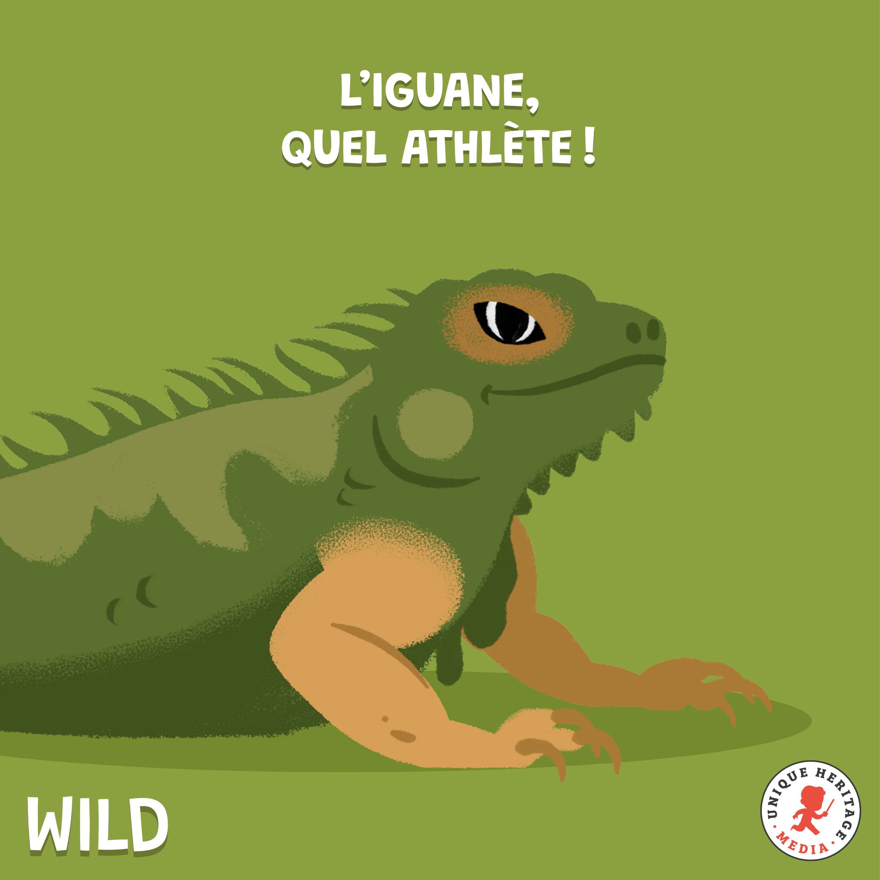 L'iguane, quel athlète !