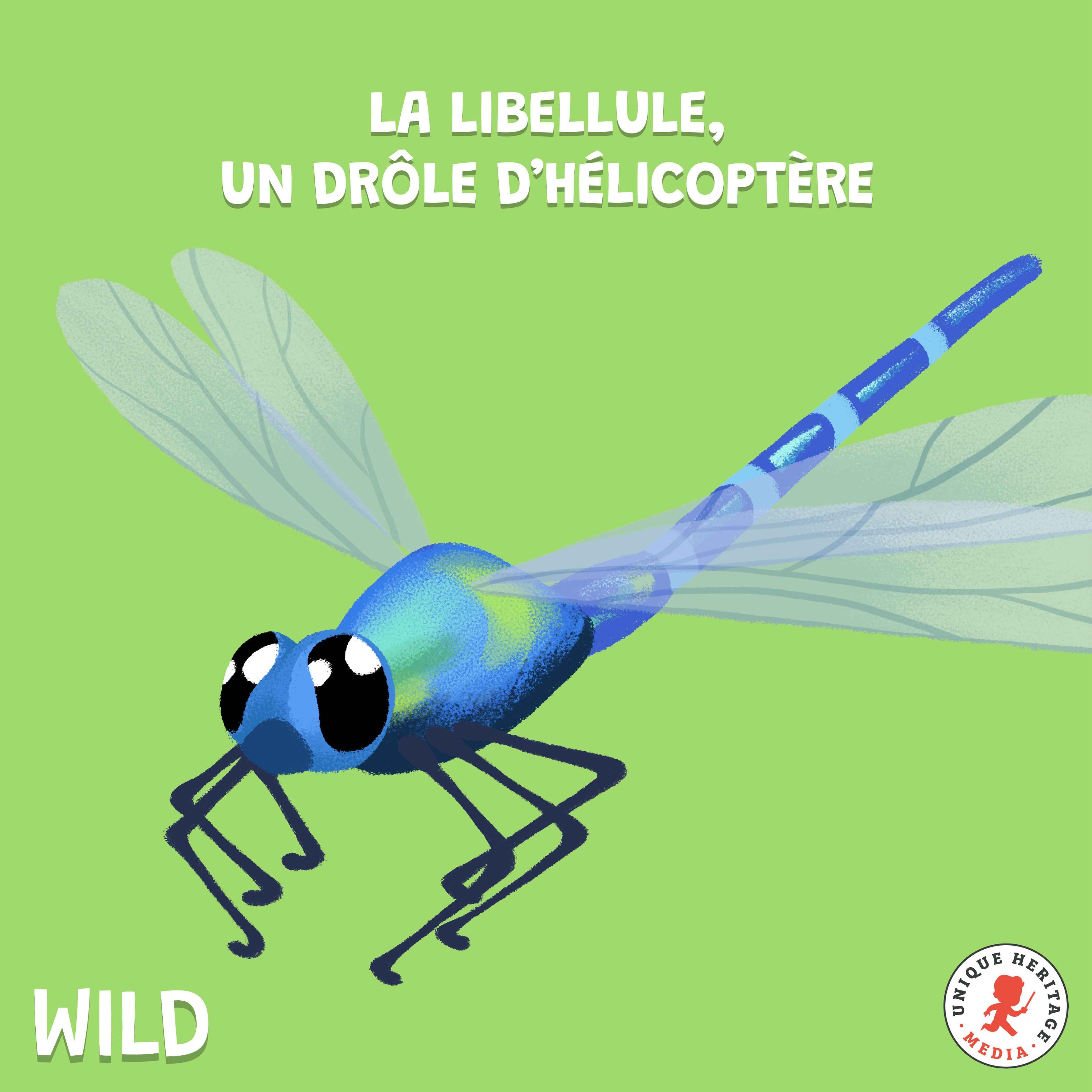 cover art for La Libellule, un drôle d'hélicoptère