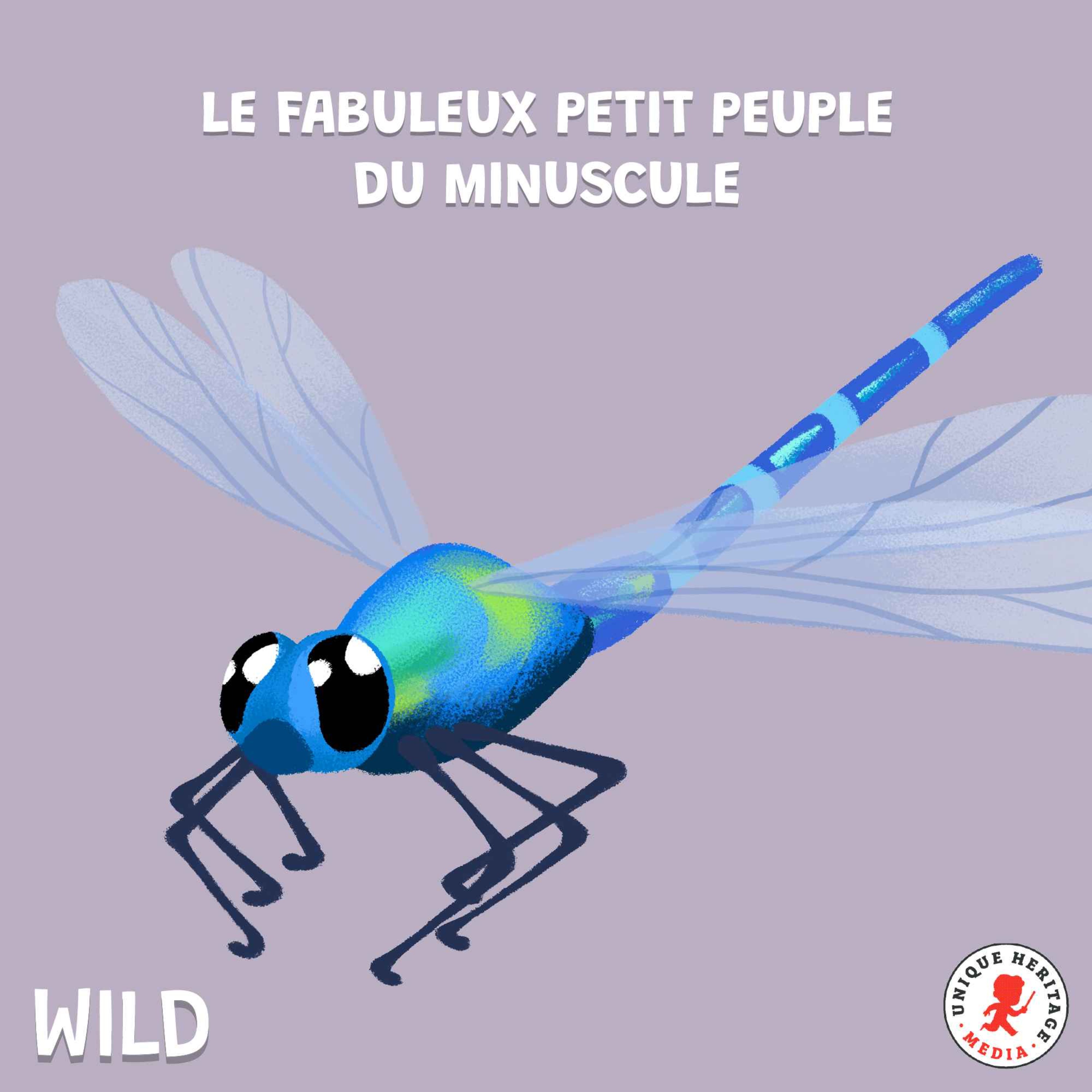 Le fabuleux petit peuple du minuscule