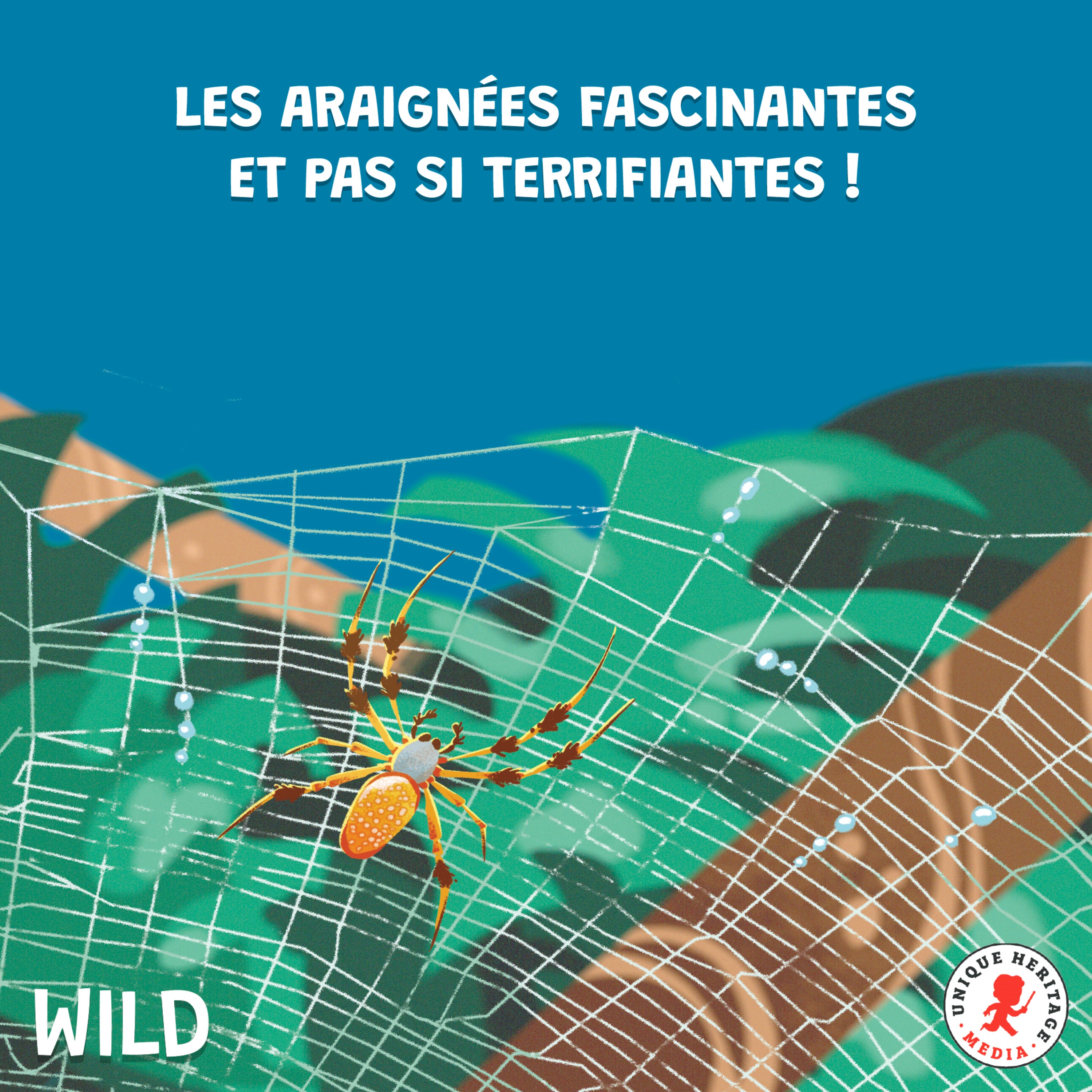 Les araignées fascinantes et pas si terrifiantes