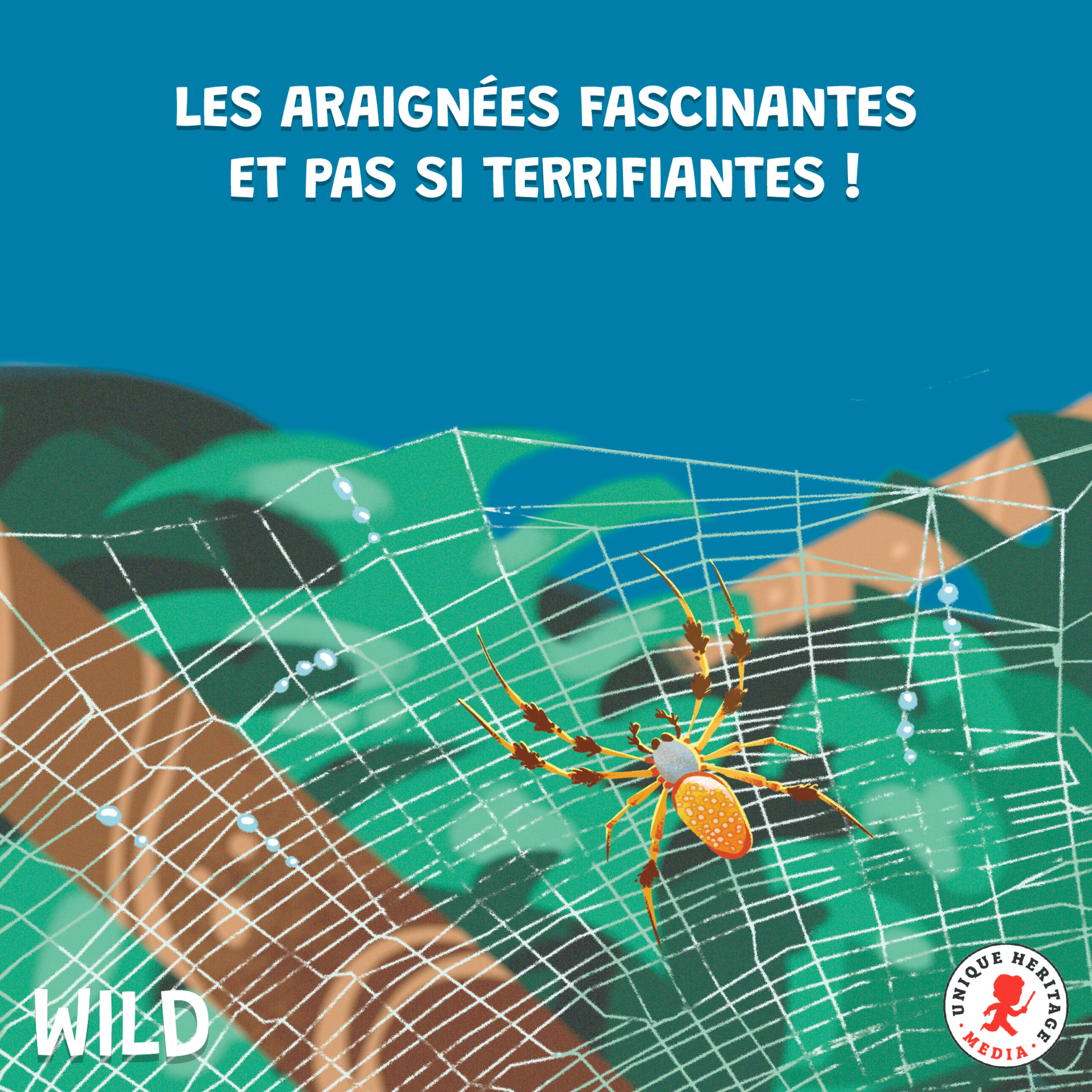 Wild, le podcast animalier - Les araignées fascinantes et pas si terrifiantes, épisode 2