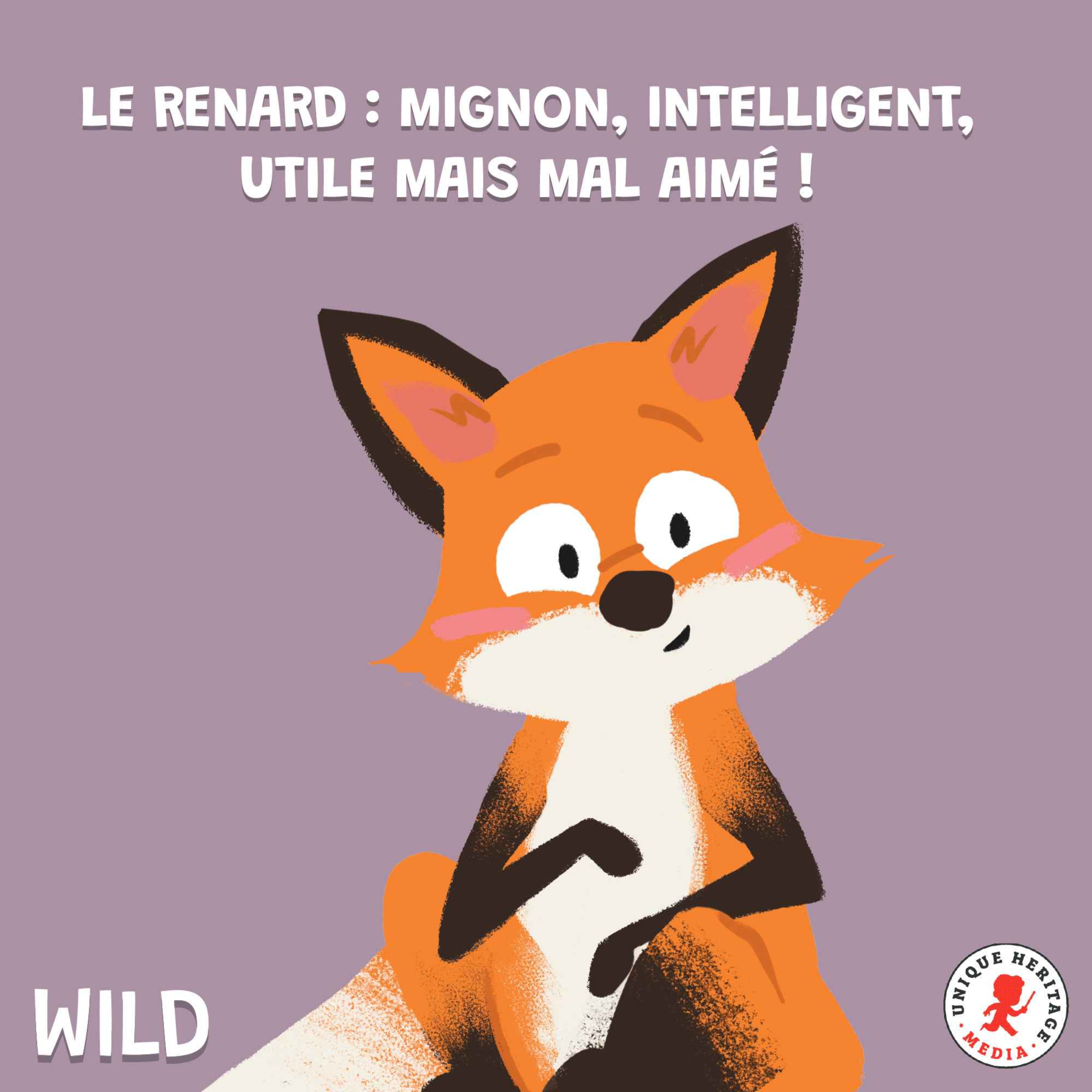 Wild, le podcast animalier - Le renard : mignon, intelligent, utile mais mal aimé !