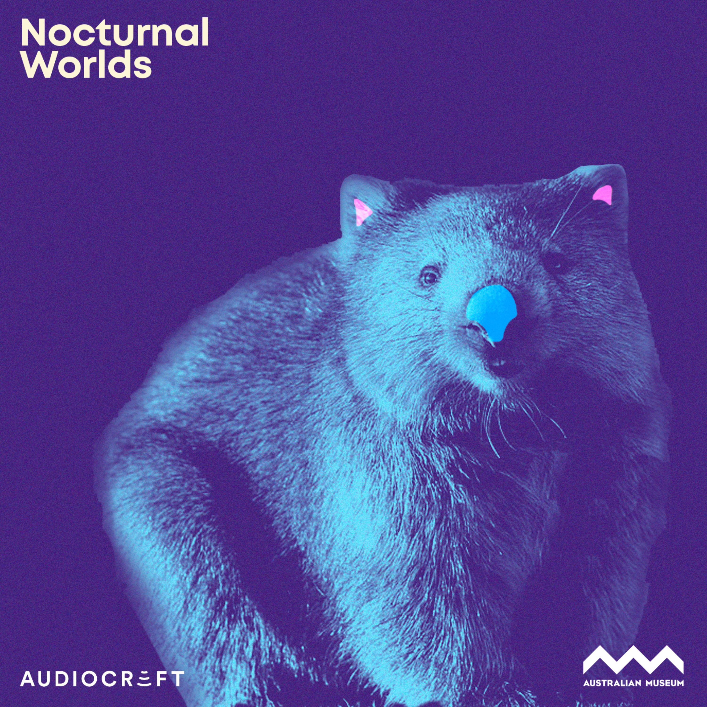 Nocturnal Worlds