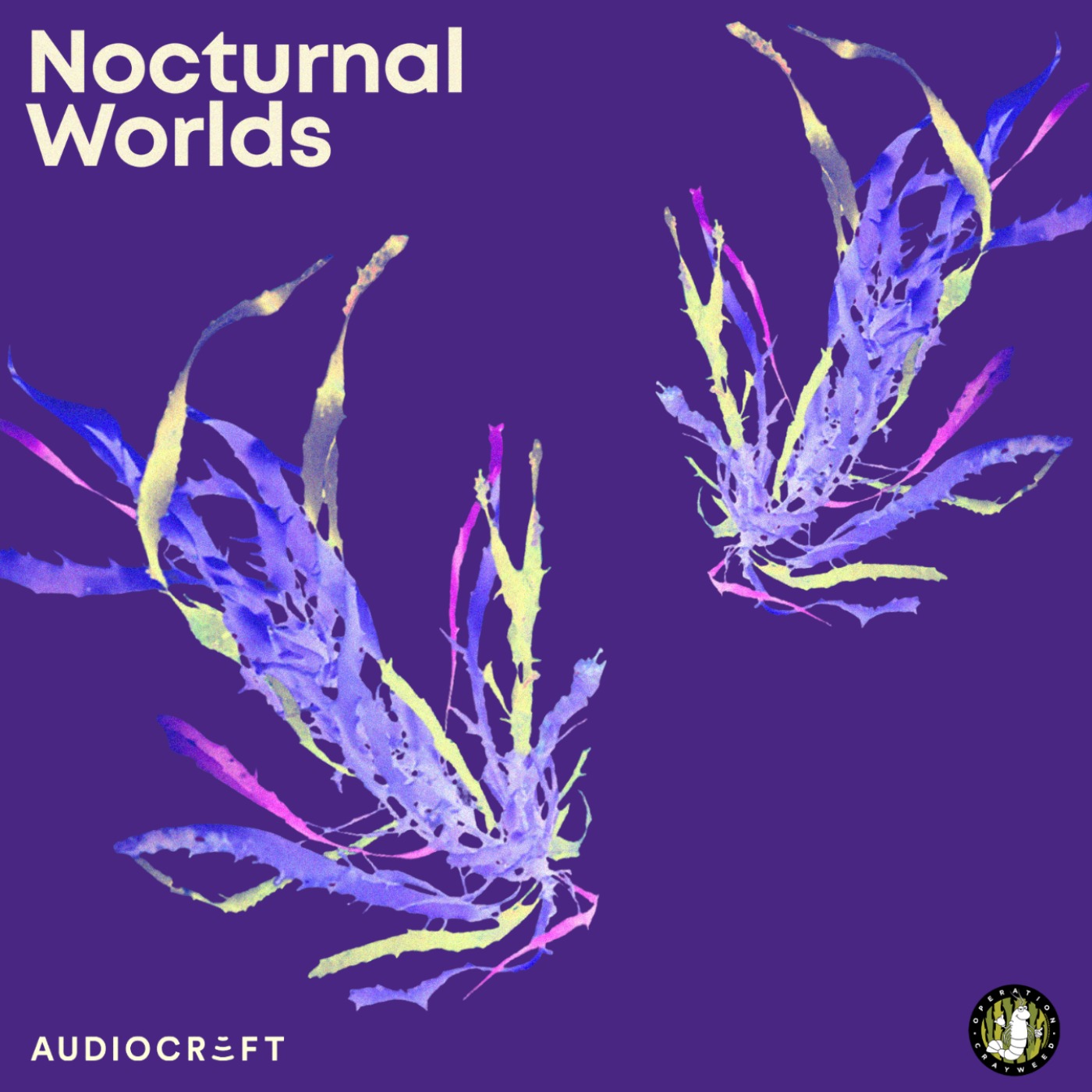 Soundscape - Crayweed