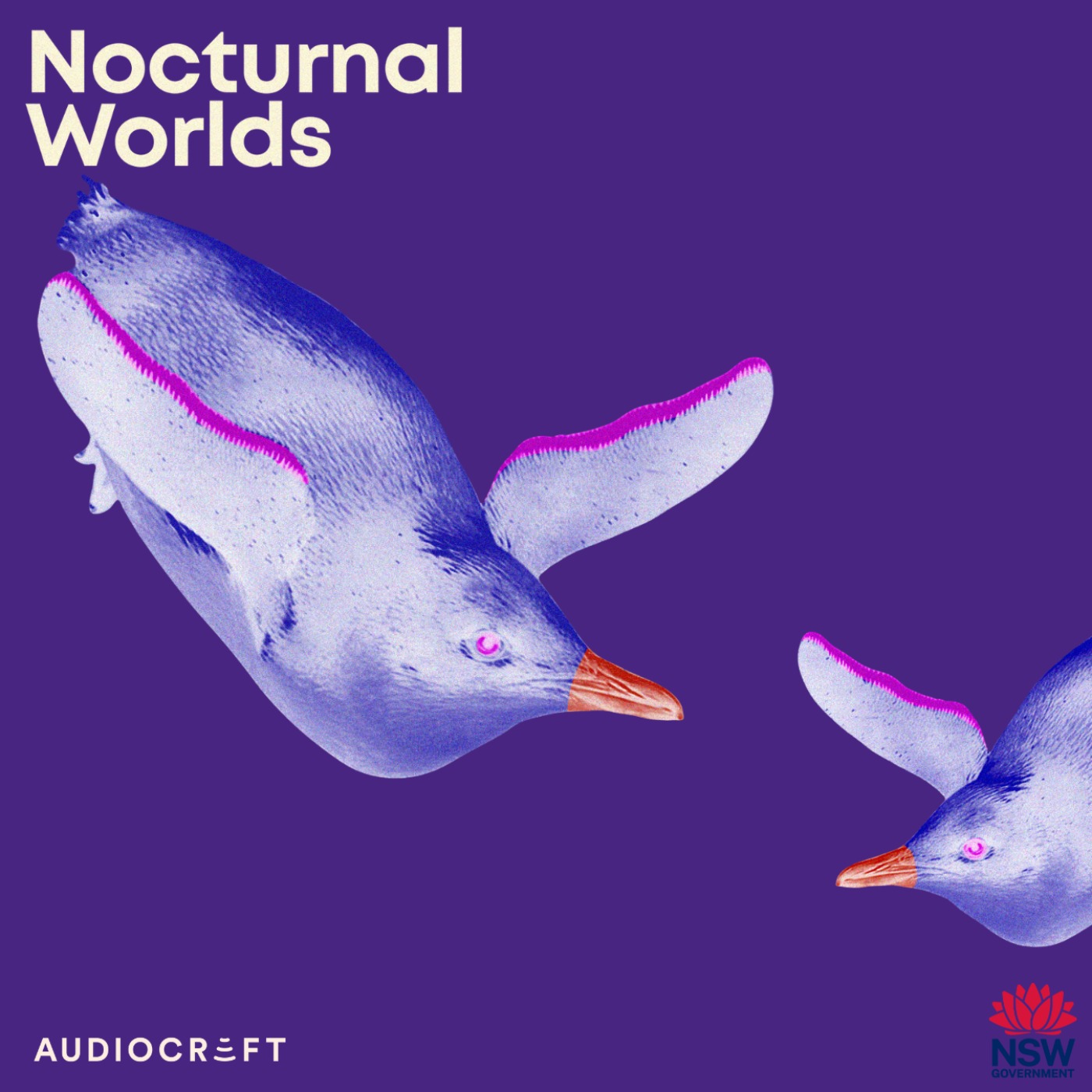 Soundscape - Little Penguin