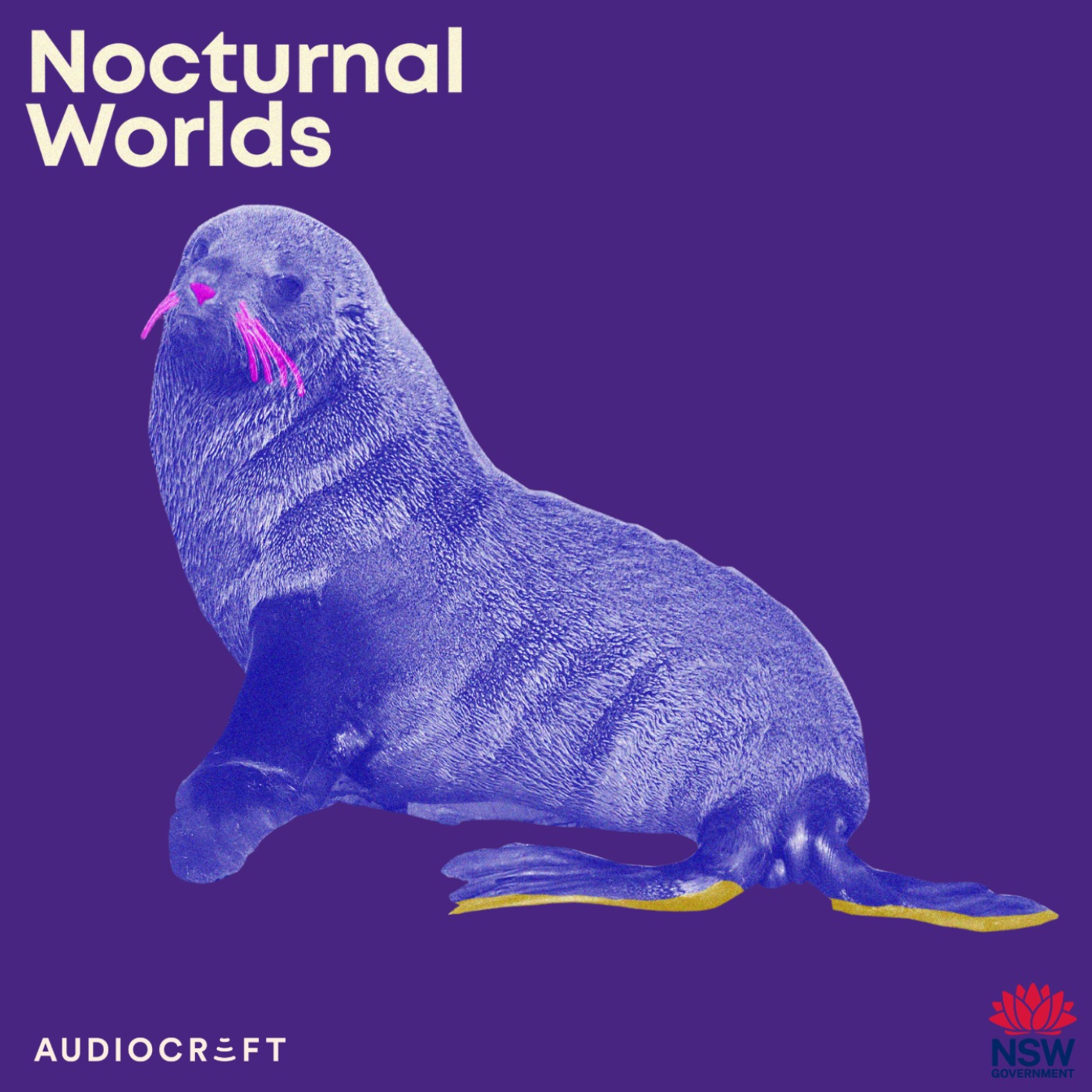 Soundscape - New Zealand Fur Seal