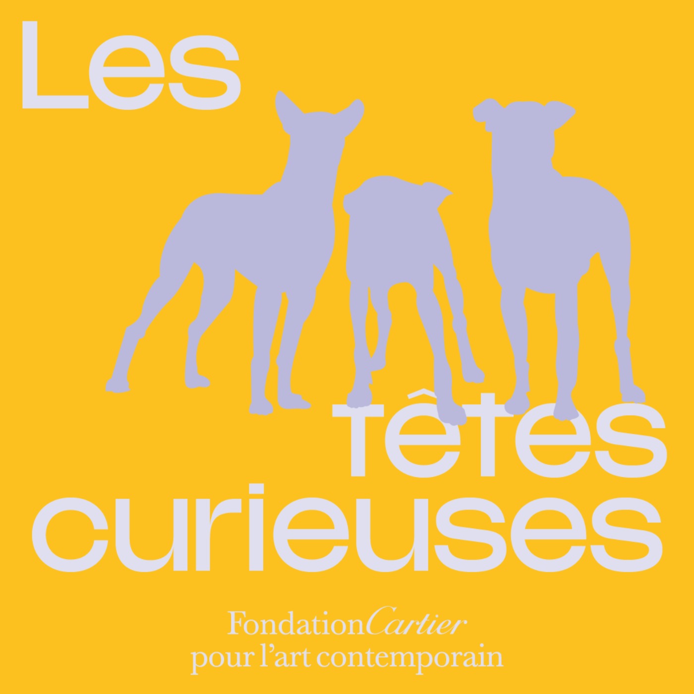 Les têtes curieuses