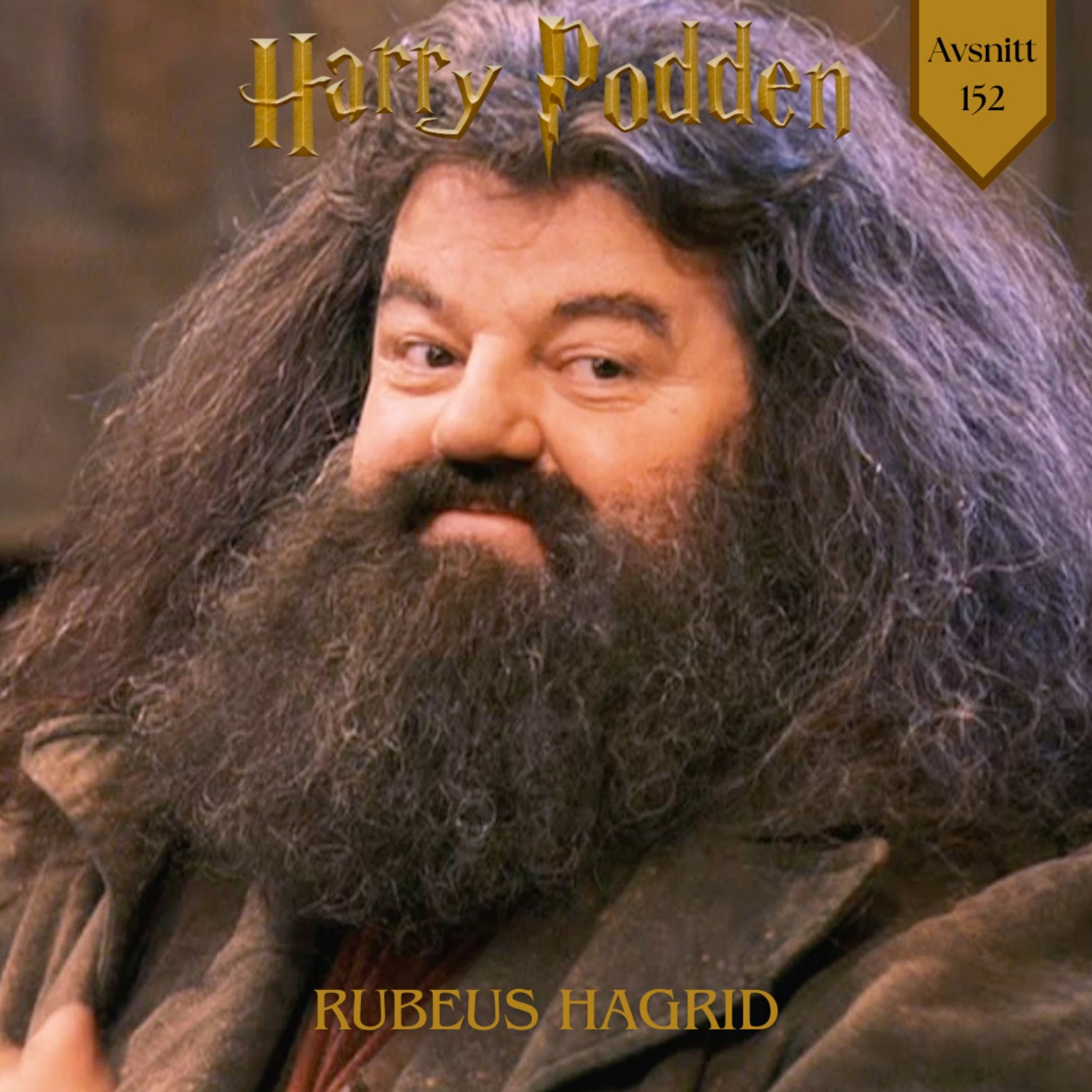 Rubeus Hagrid Rubeus Hagrid