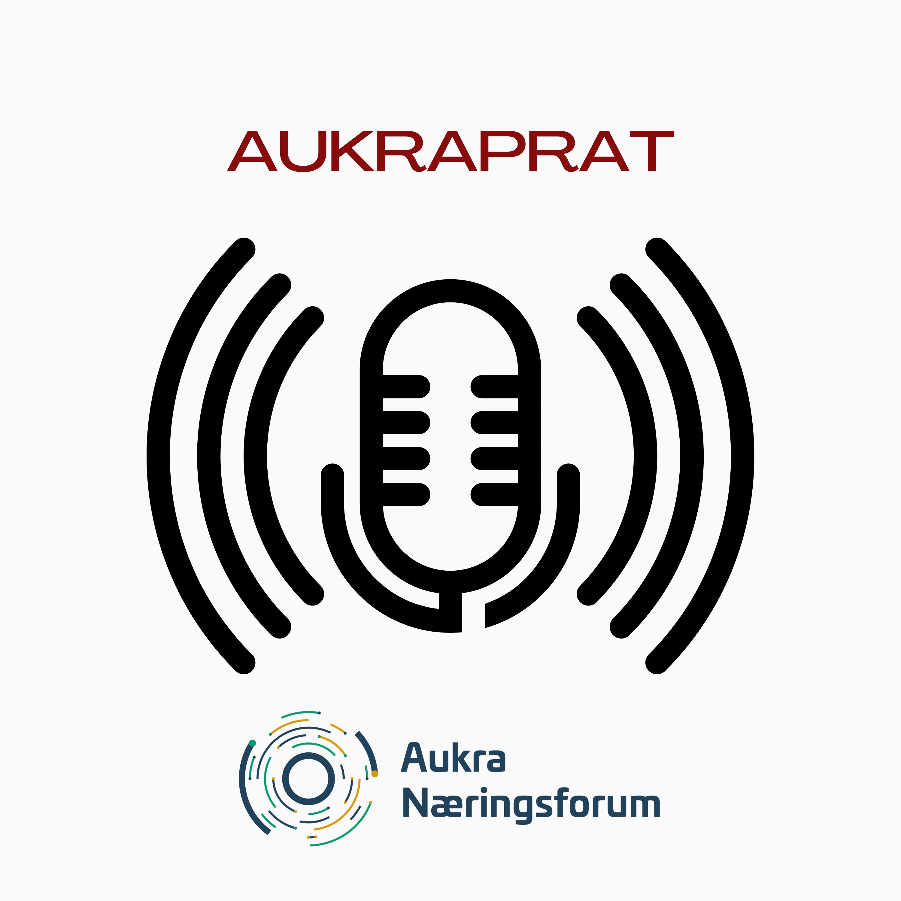 cover art for Aukraprat - med Grant og Kevin Solem i firmaet Bygg og data