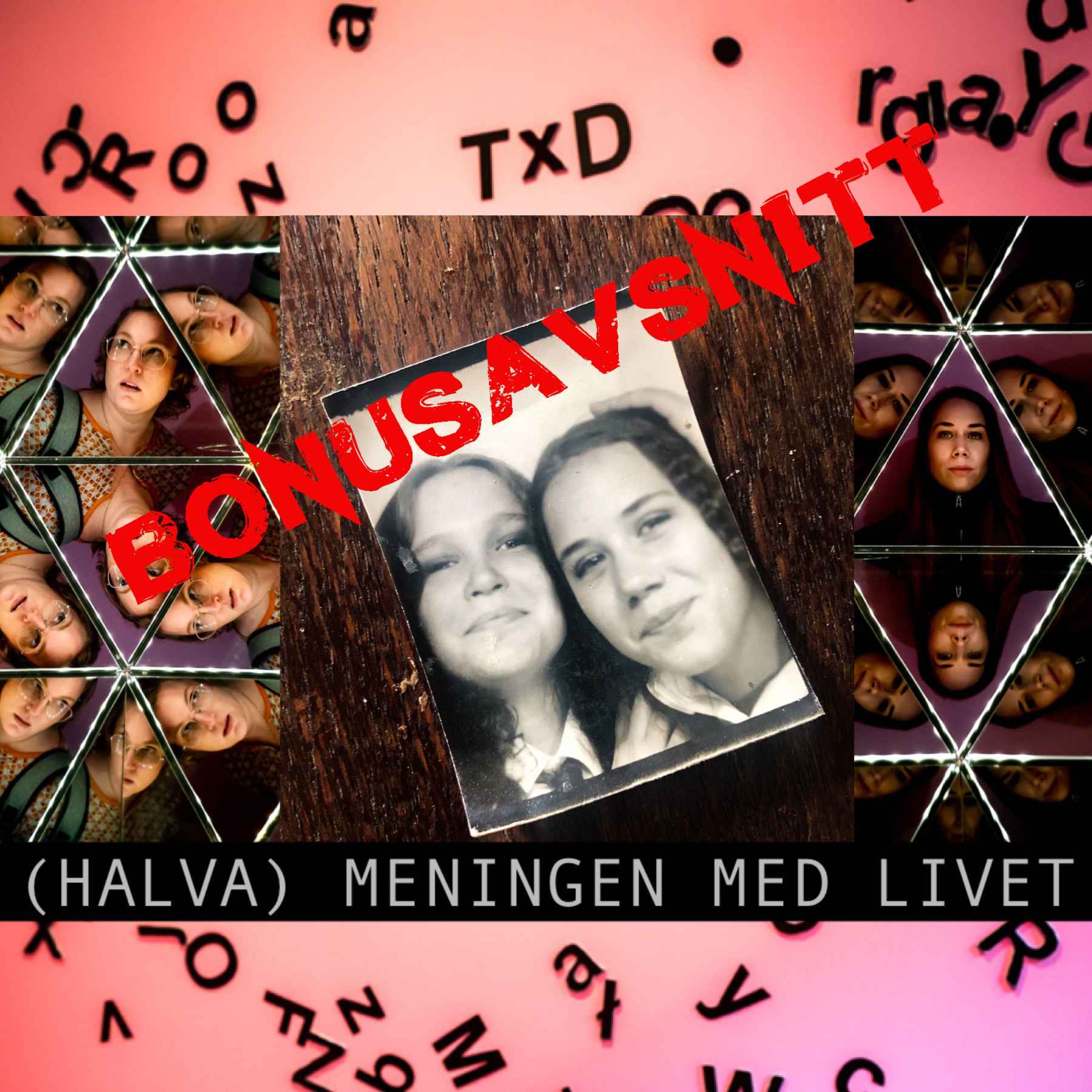 (halva) meningen med livet