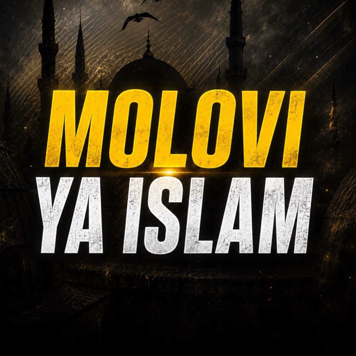 IQ, Quran, Research, and Power: The Muslim Roadmap | Sahil Adeem Podcast episode artwork