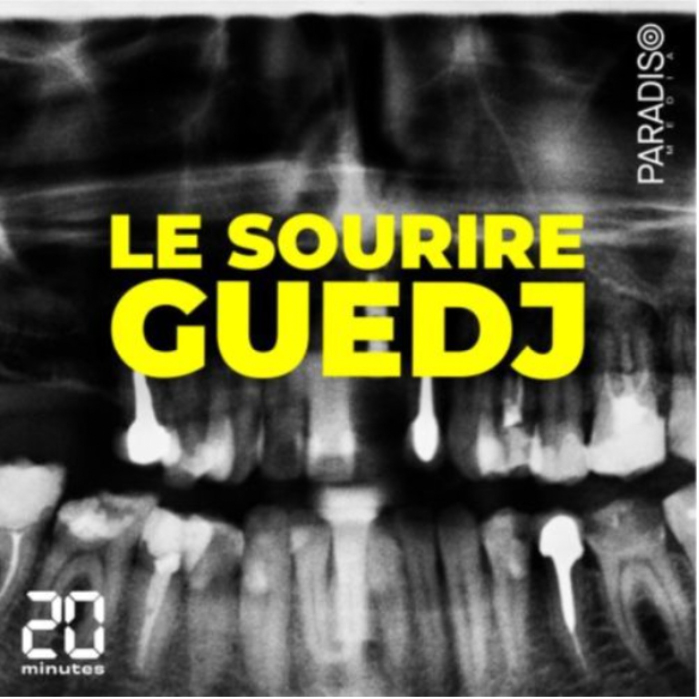 Le sourire Guedj / 6. Le jugement
