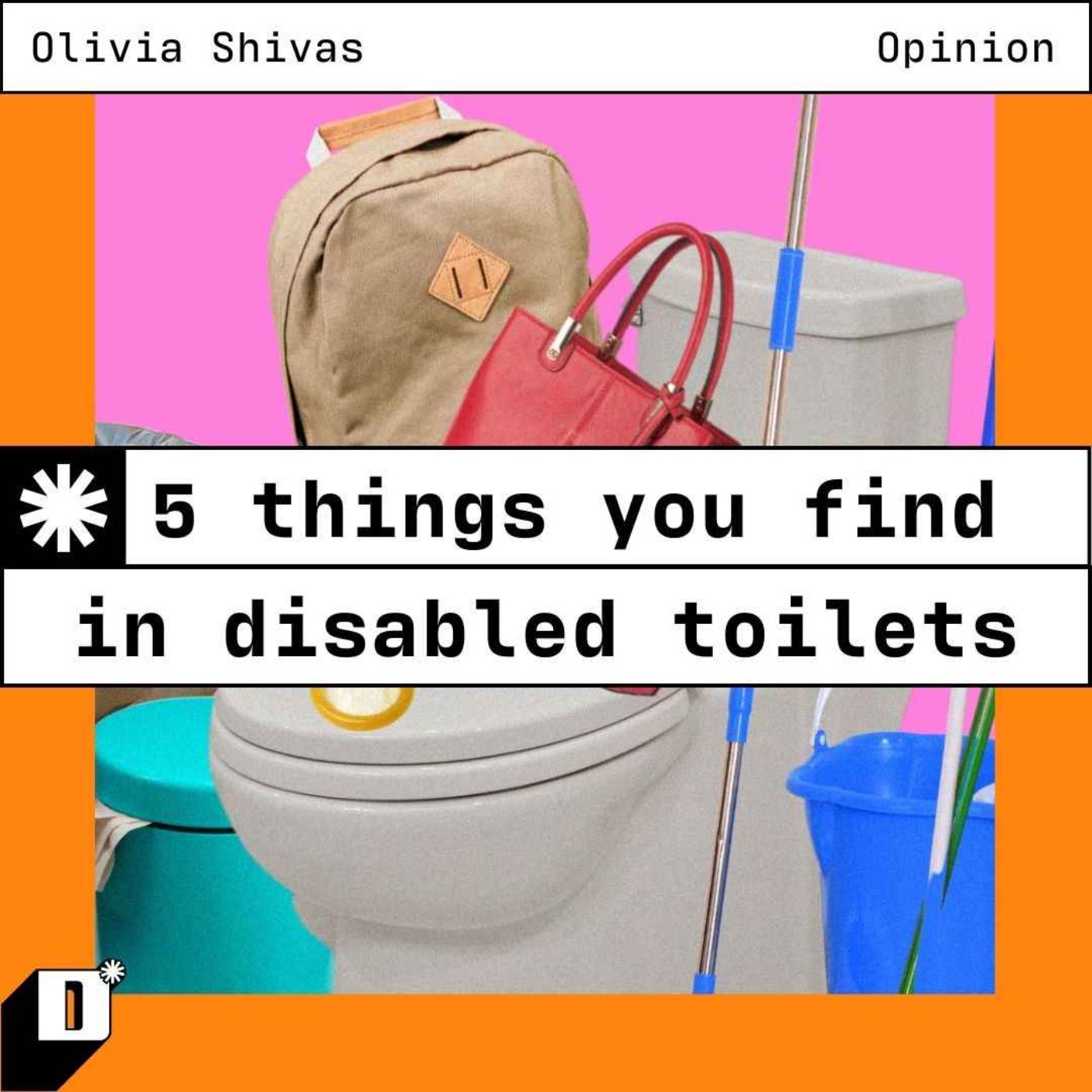 Top 5: Things you find in accessible bathrooms